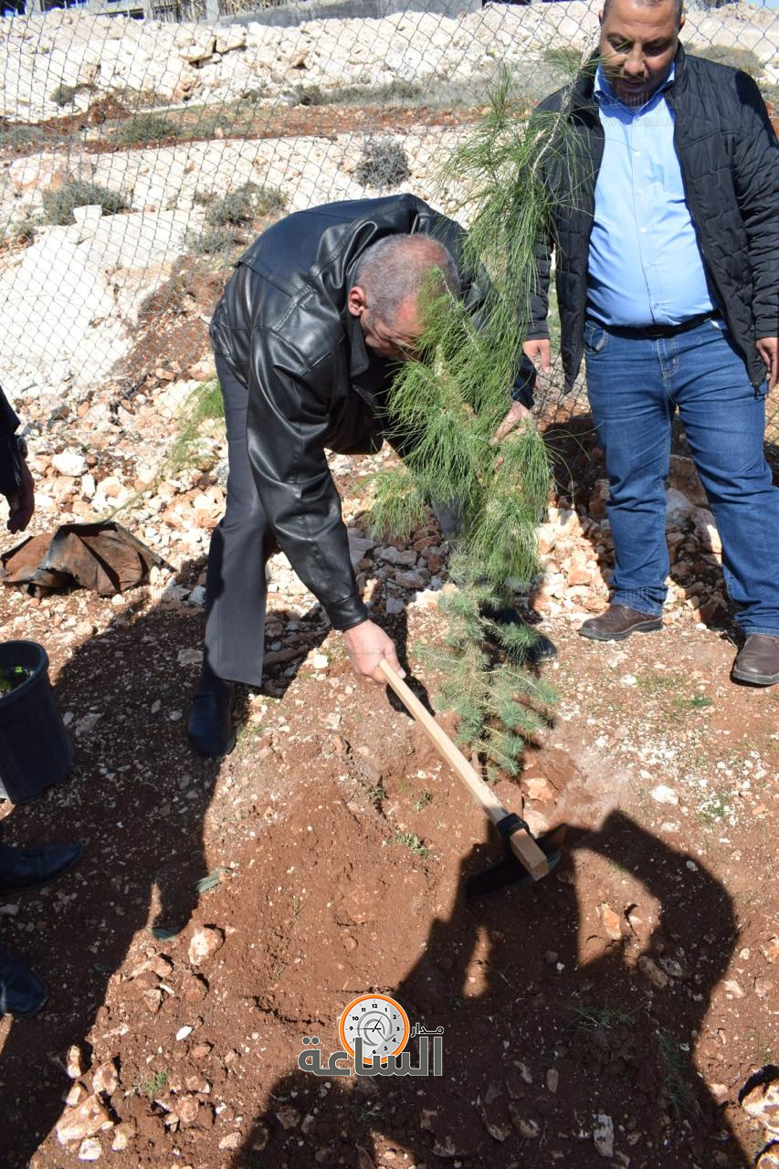 Madar Al-Saa Images 0.2390138261414405