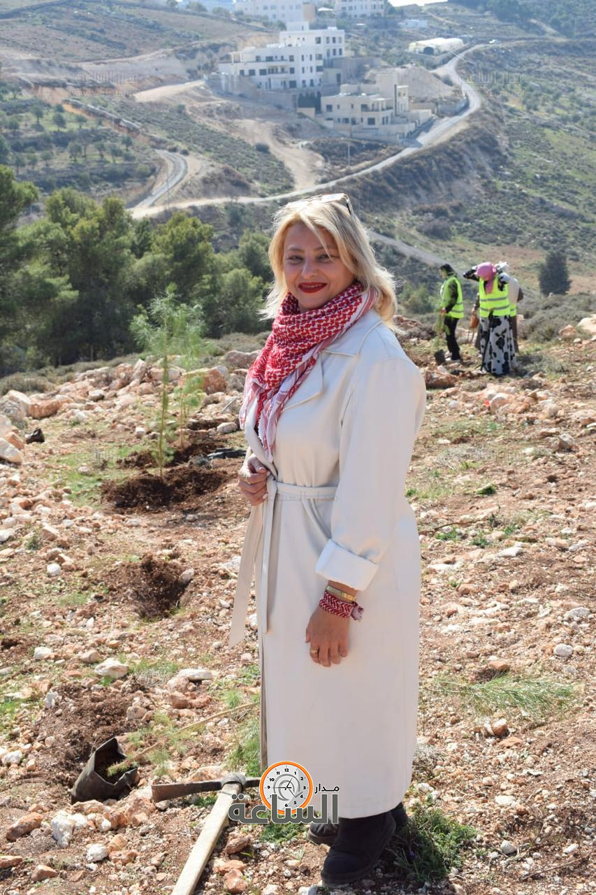 Madar Al-Saa Images 0.5629317404613936