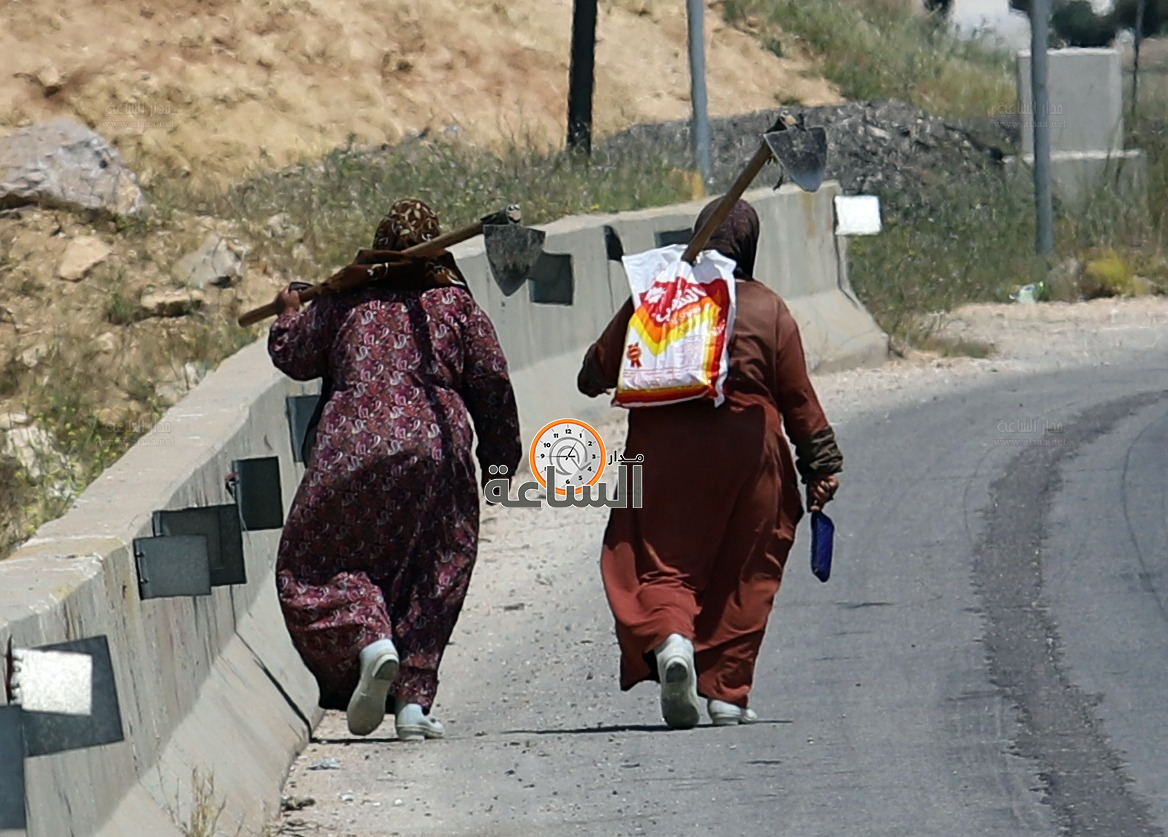 Madar Al-Saa Images 0.3187624116995711