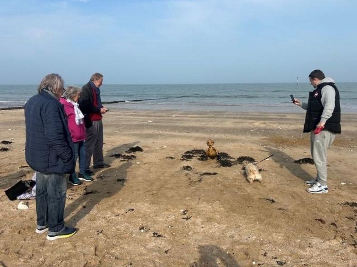 Madar Al-Saa Images 0.8327375561692218