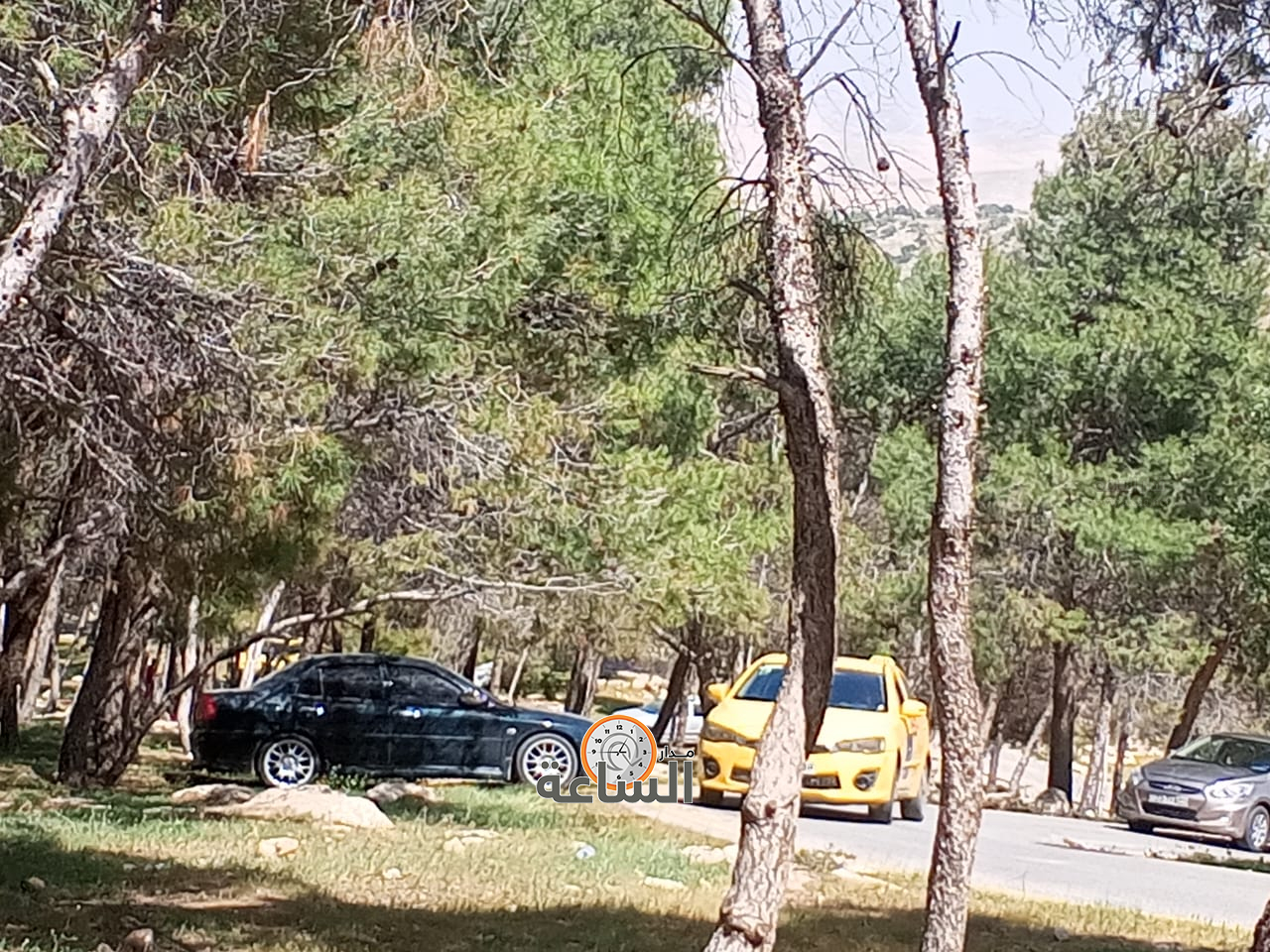 Madar Al-Saa Images 0.9432166118241281