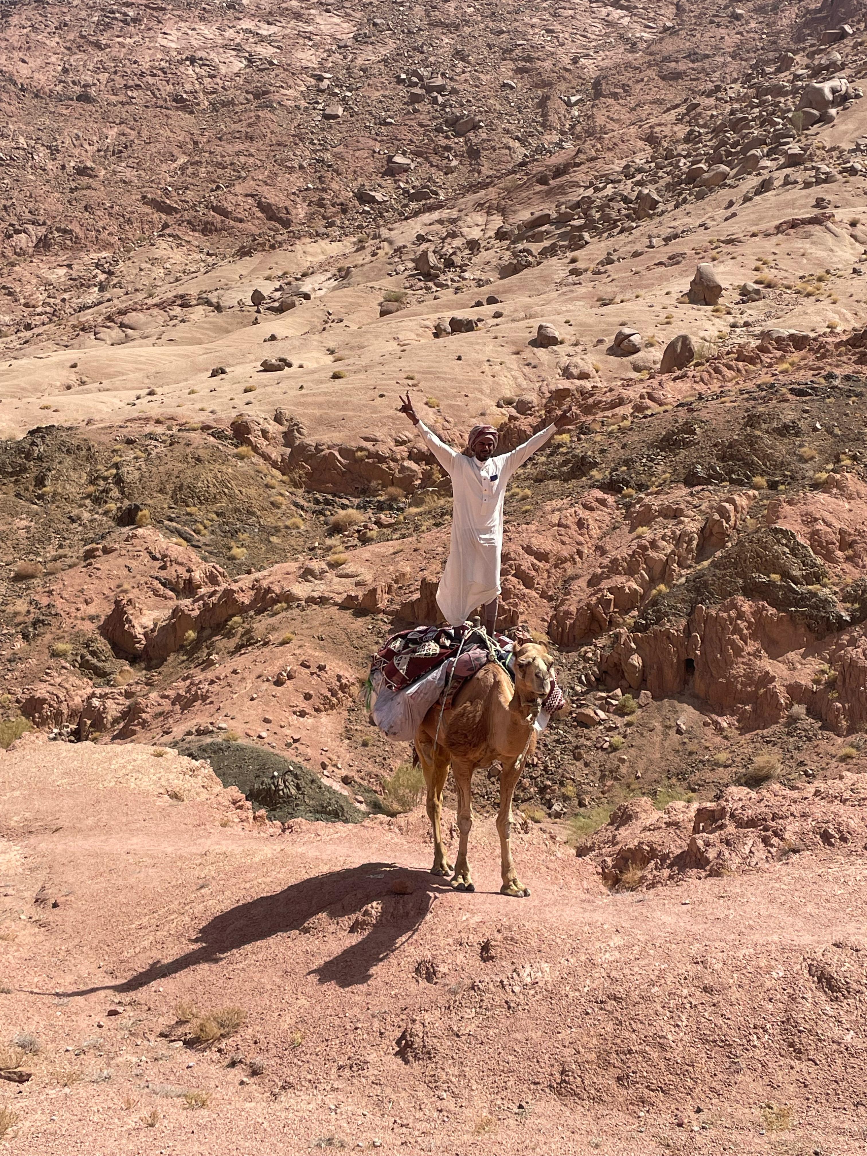 Madar Al-Saa Images 0.9524072458219677