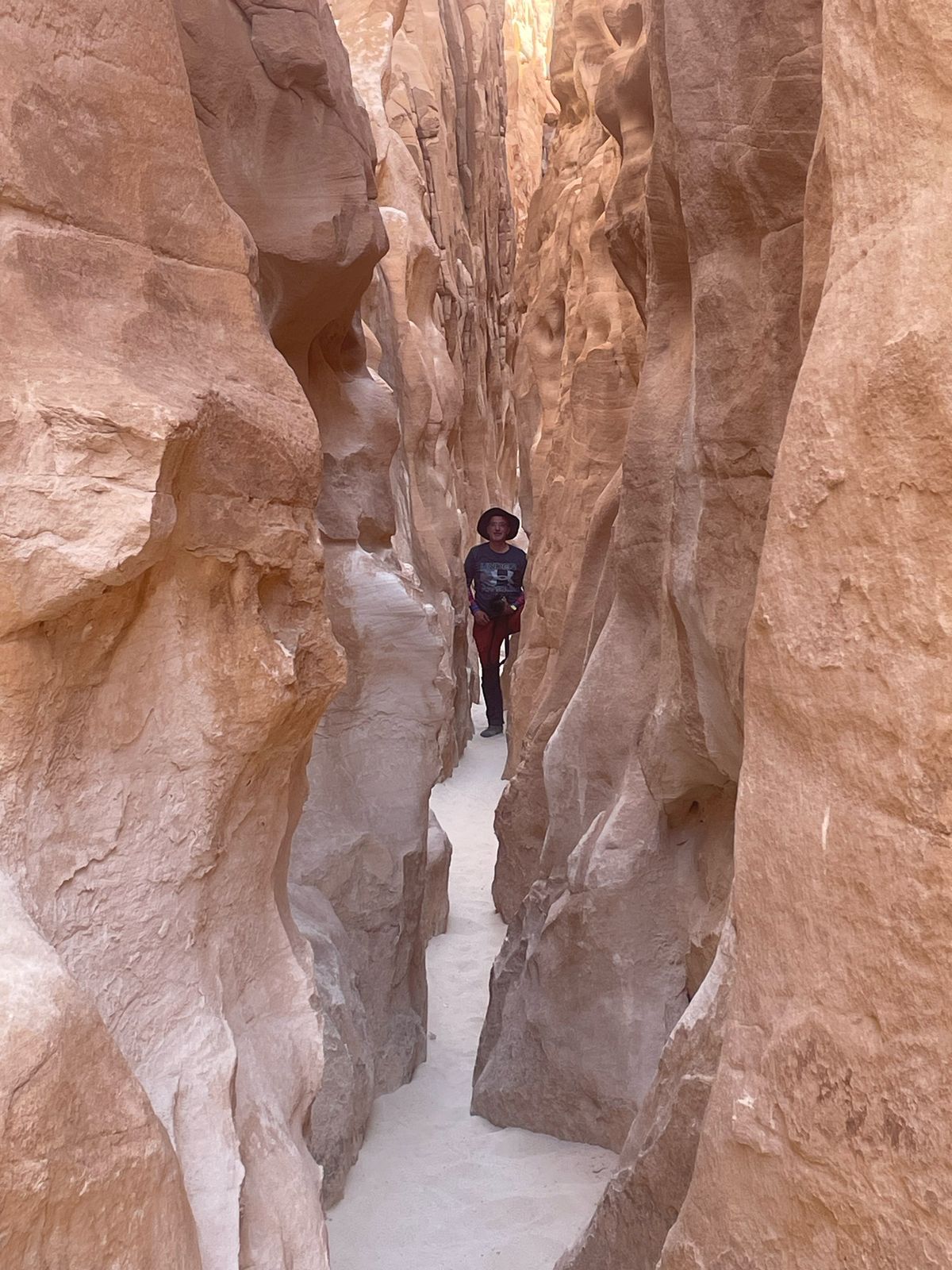 Madar Al-Saa Images 0.5079270611766029