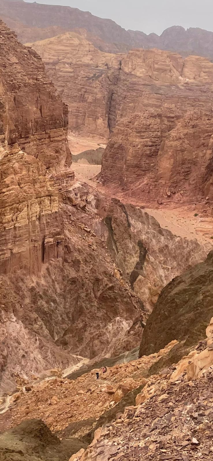 Madar Al-Saa Images 0.16952922198370257