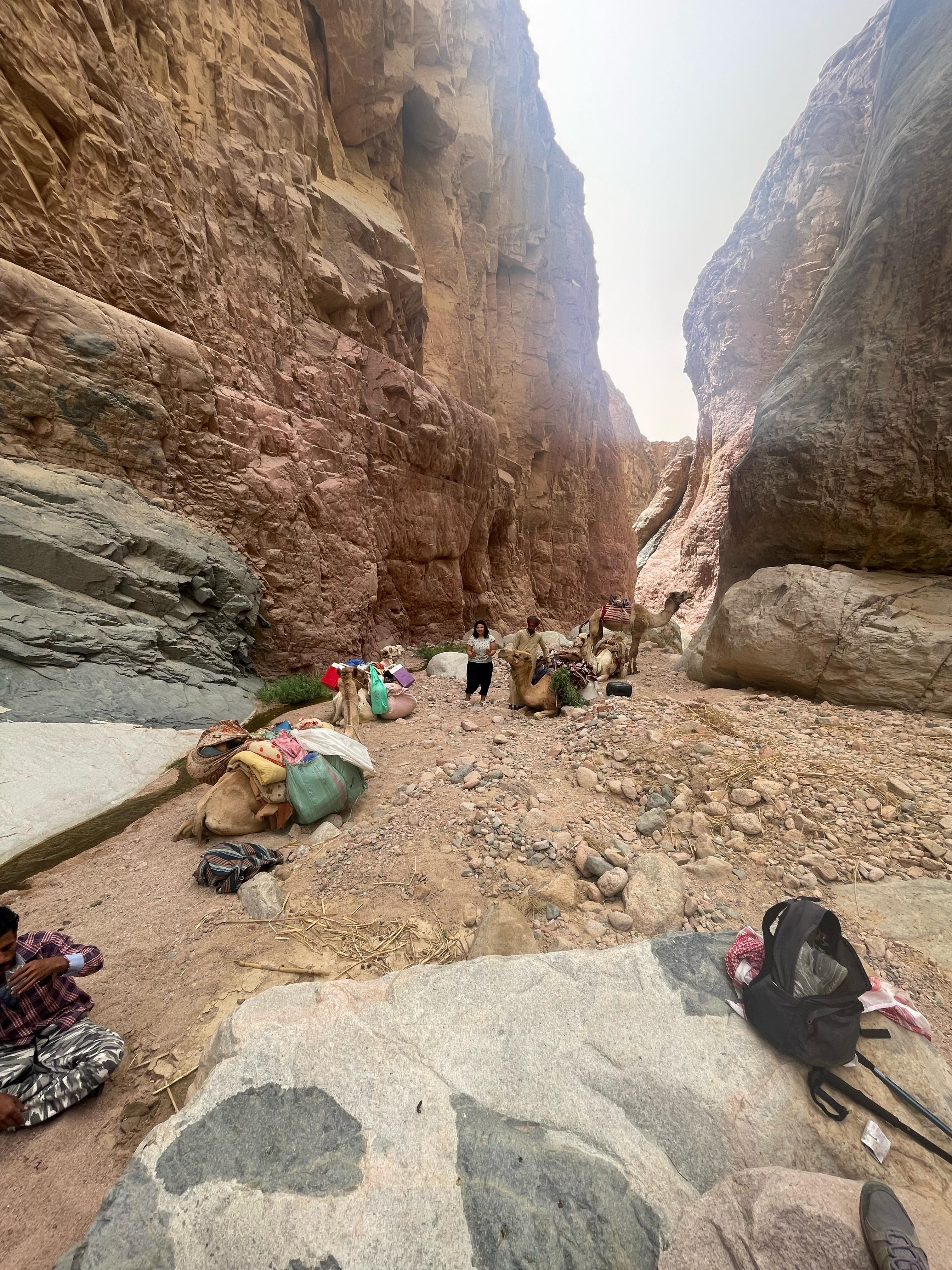 Madar Al-Saa Images 0.6740058803061654