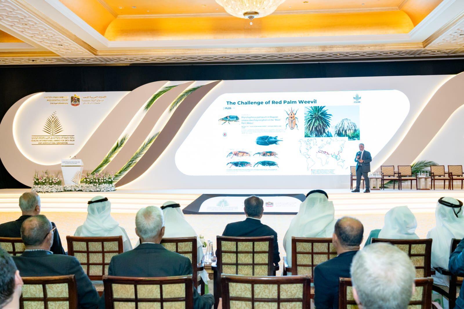 Madar Al-Saa Images 0.7154245097923251