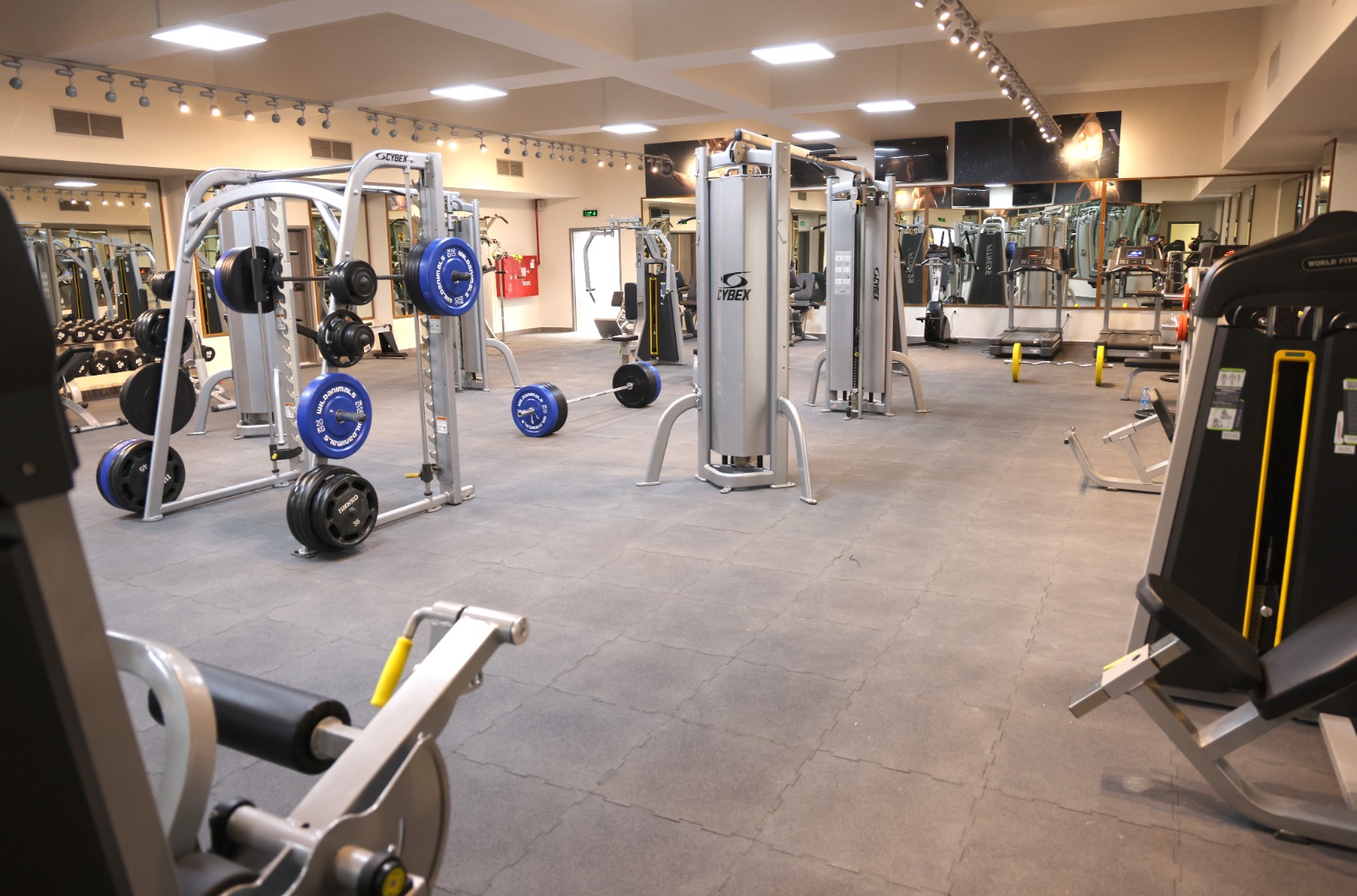 Madar Al-Saa Images 0.16913033452653425