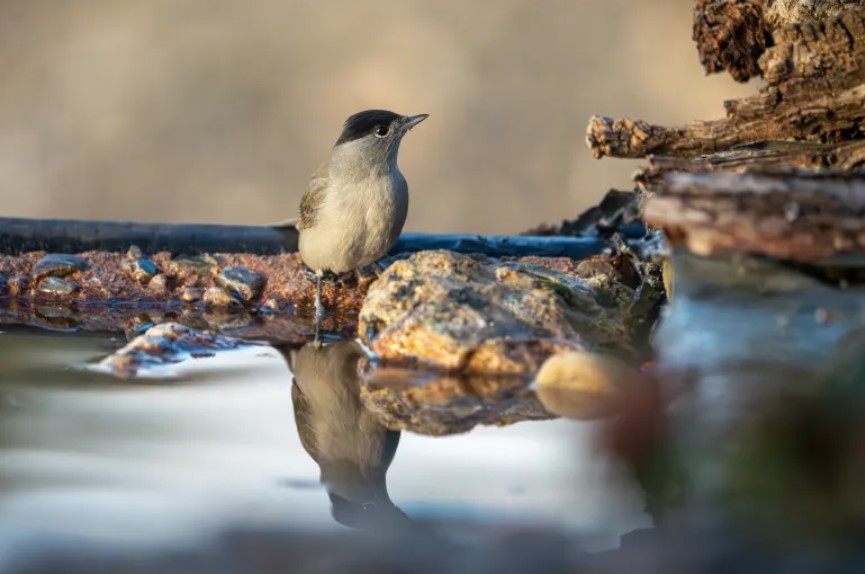 Madar Al-Saa Images 0.4234064325006627