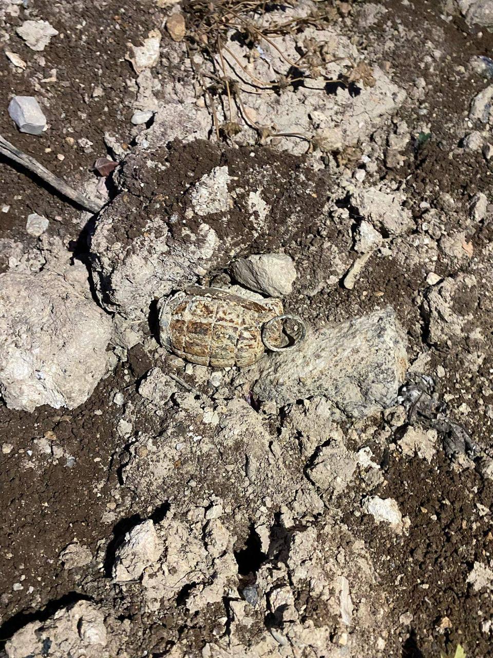 Madar Al-Saa Images 0.9403895567005544