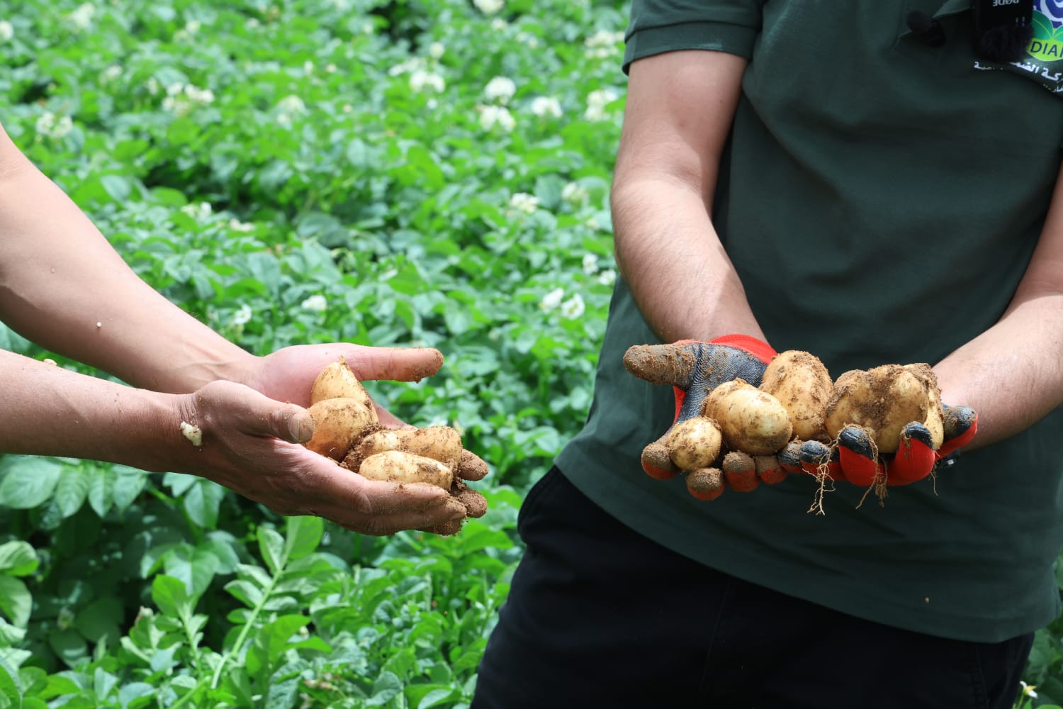 Madar Al-Saa Images 0.19374003600728706