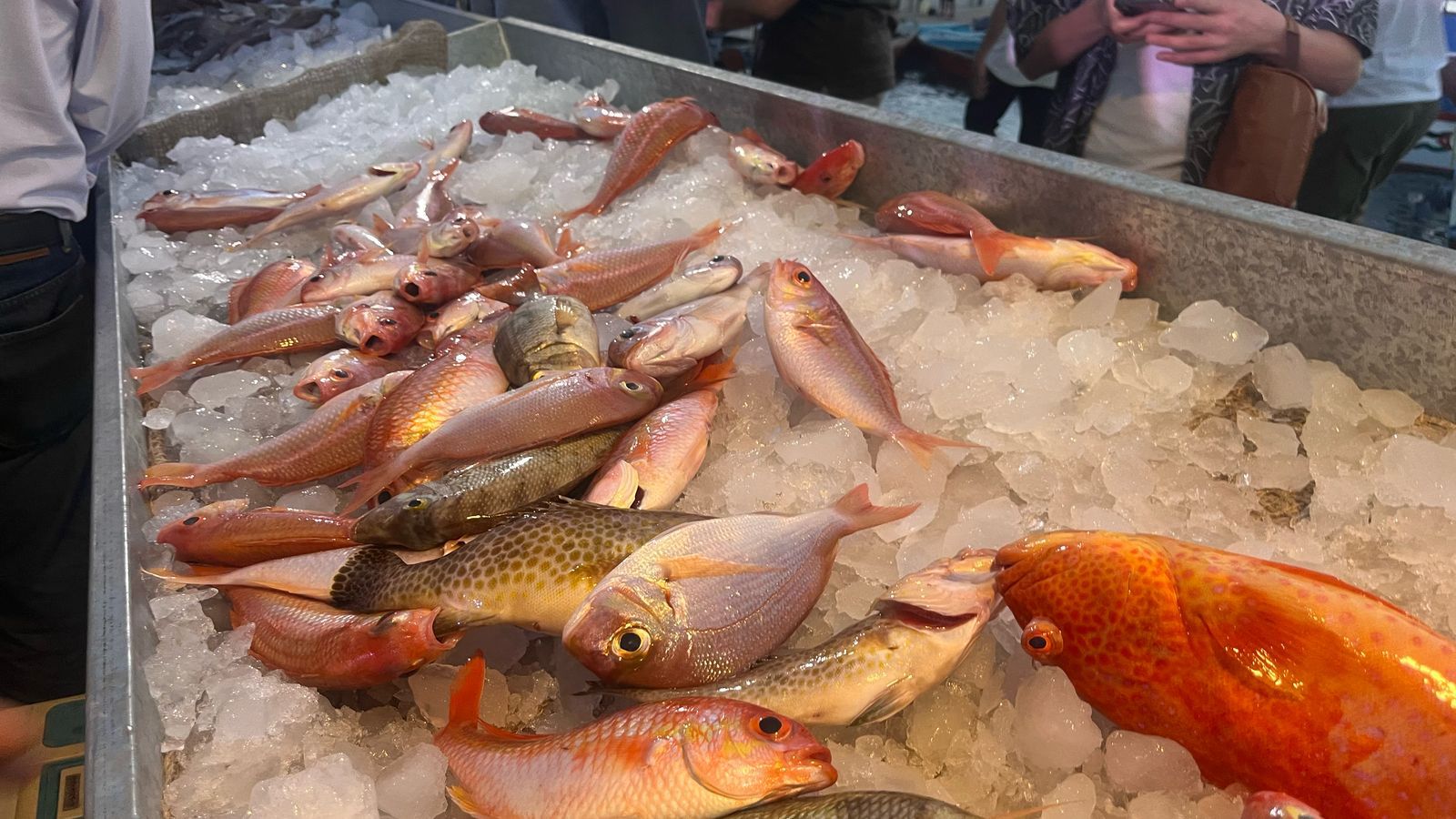 Madar Al-Saa Images 0.739908323368778