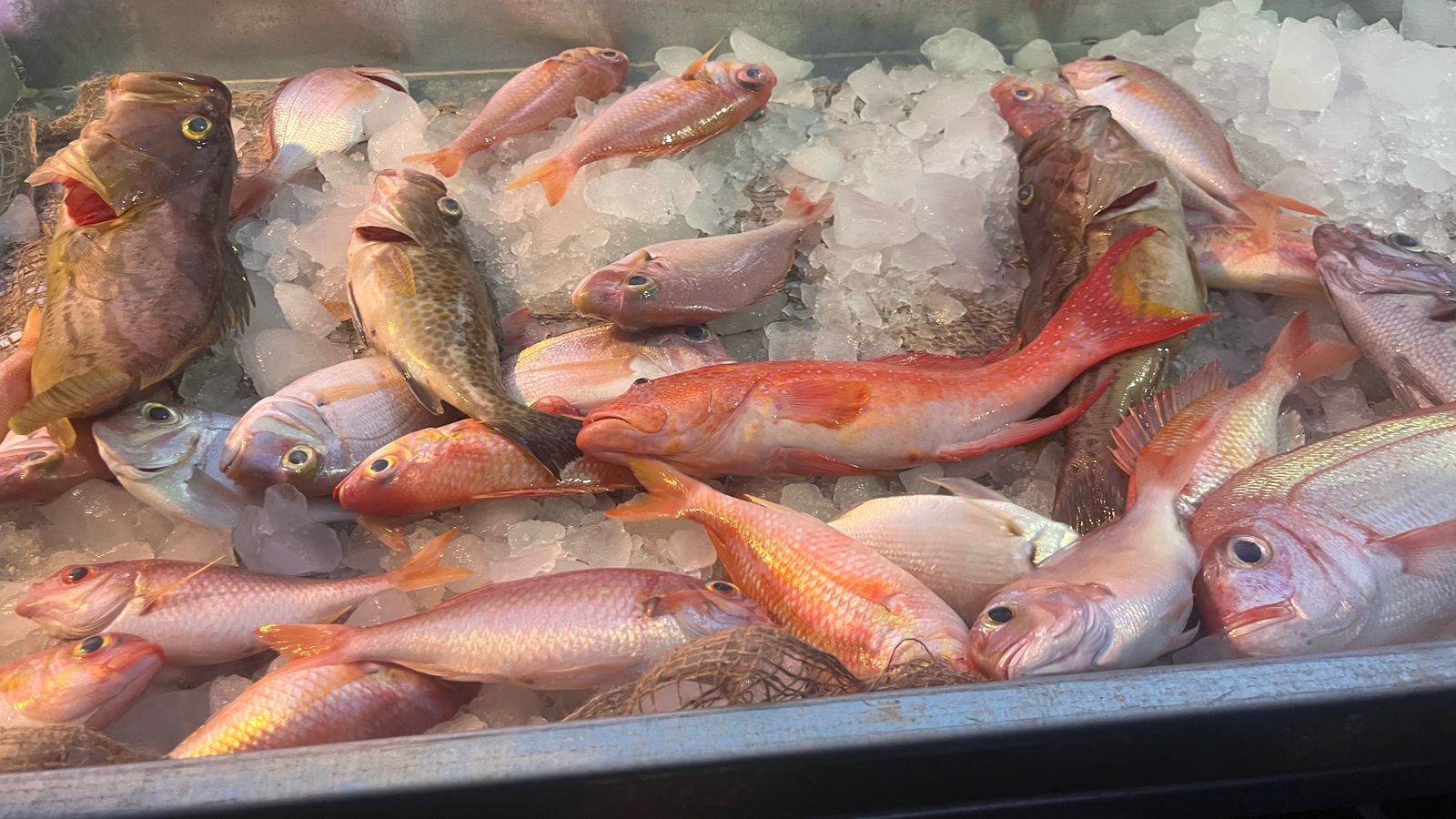 Madar Al-Saa Images 0.292067863755901