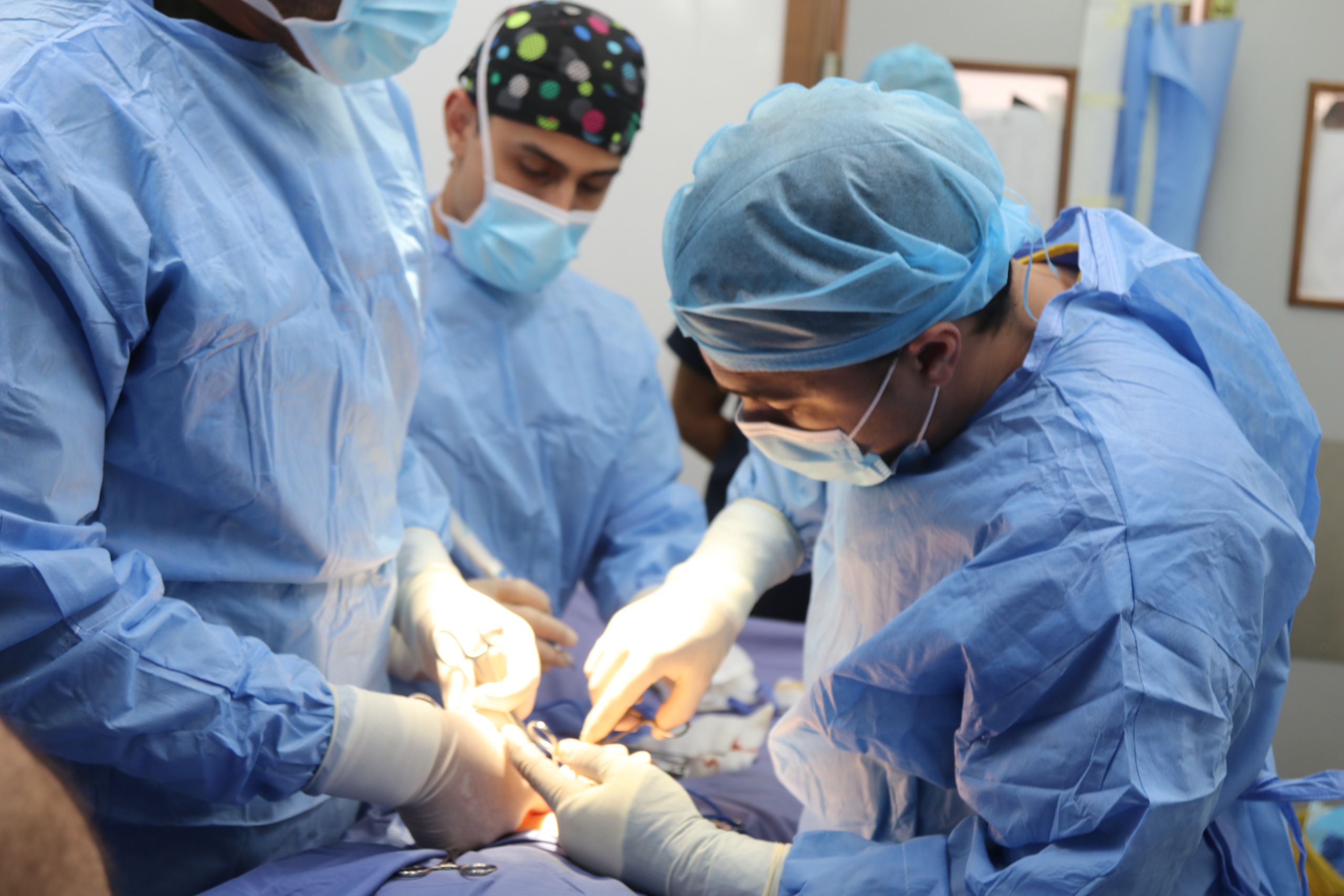 Madar Al-Saa Images 0.6528745302984569