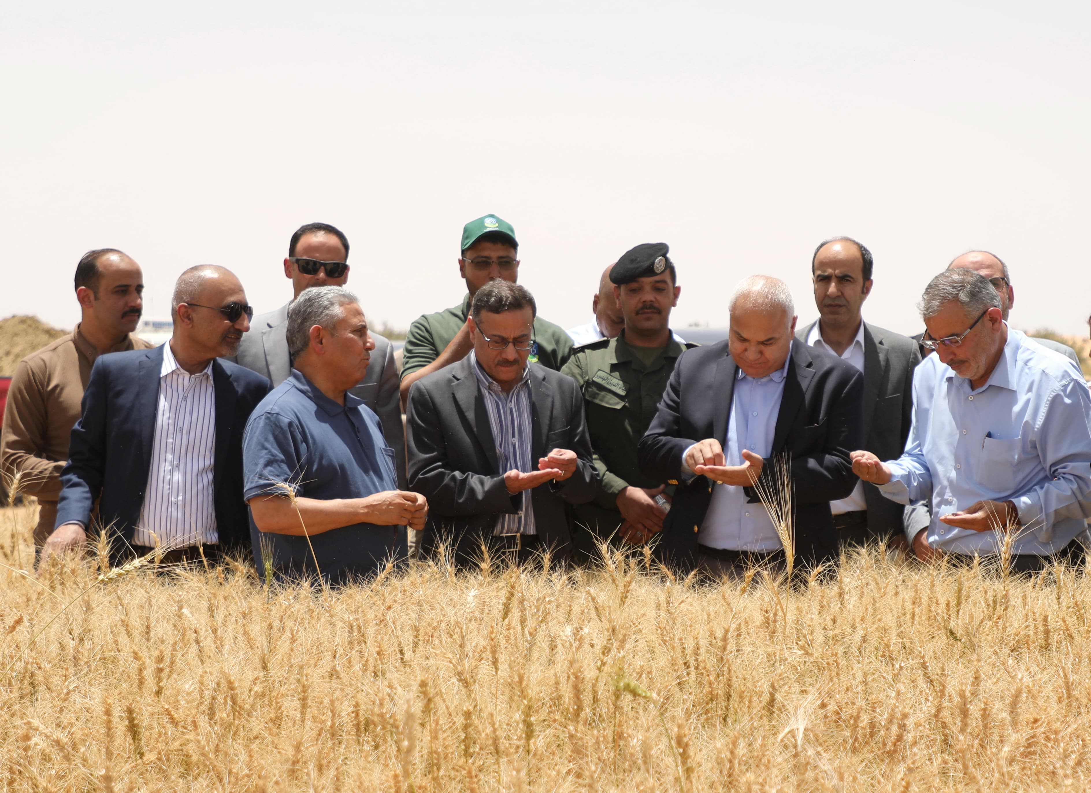 Madar Al-Saa Images 0.36873695376915283