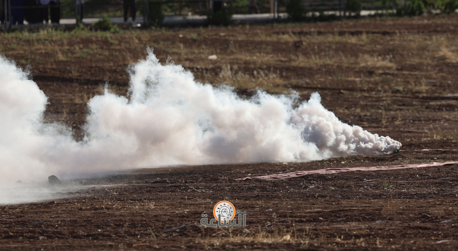 Madar Al-Saa Images 0.9160419790184255