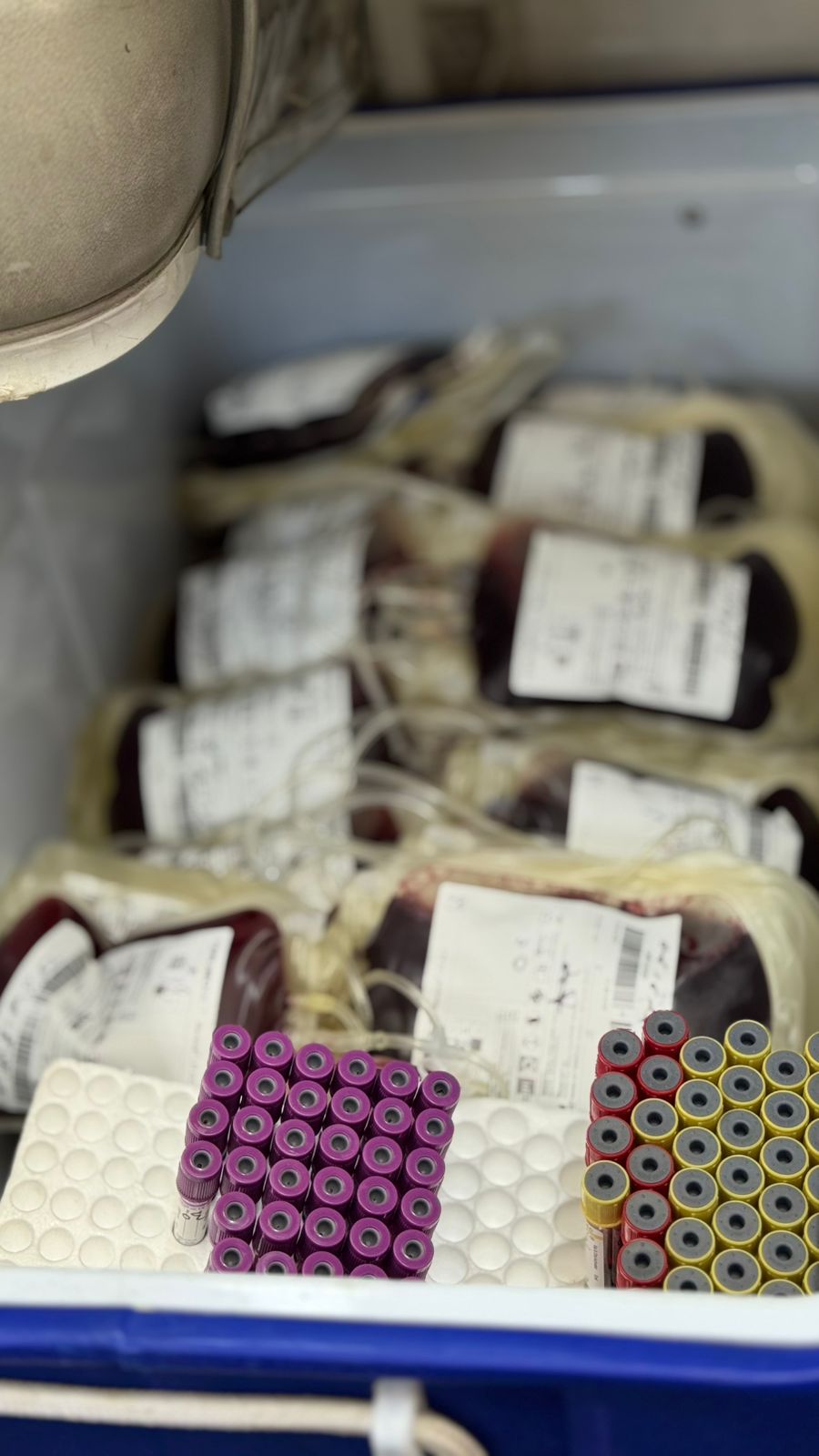 Madar Al-Saa Images 0.4033002570024077