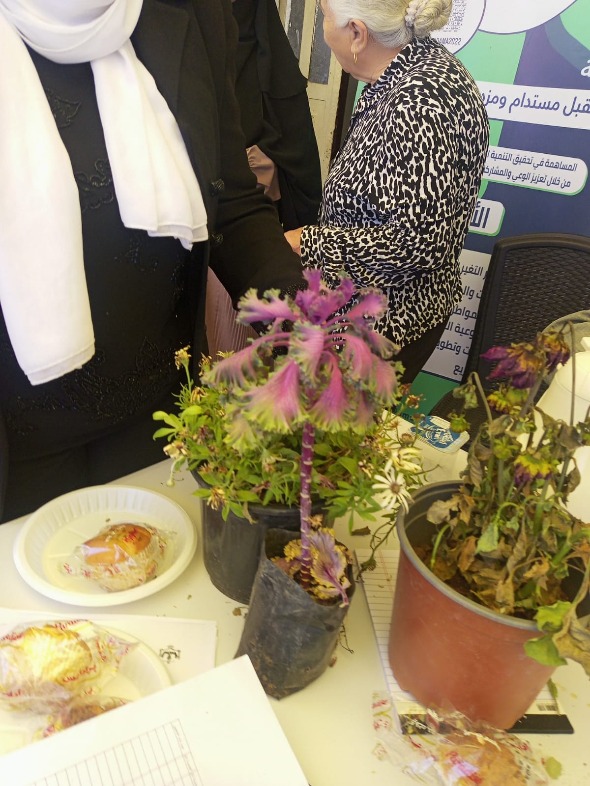 Madar Al-Saa Images 0.10457601415064766