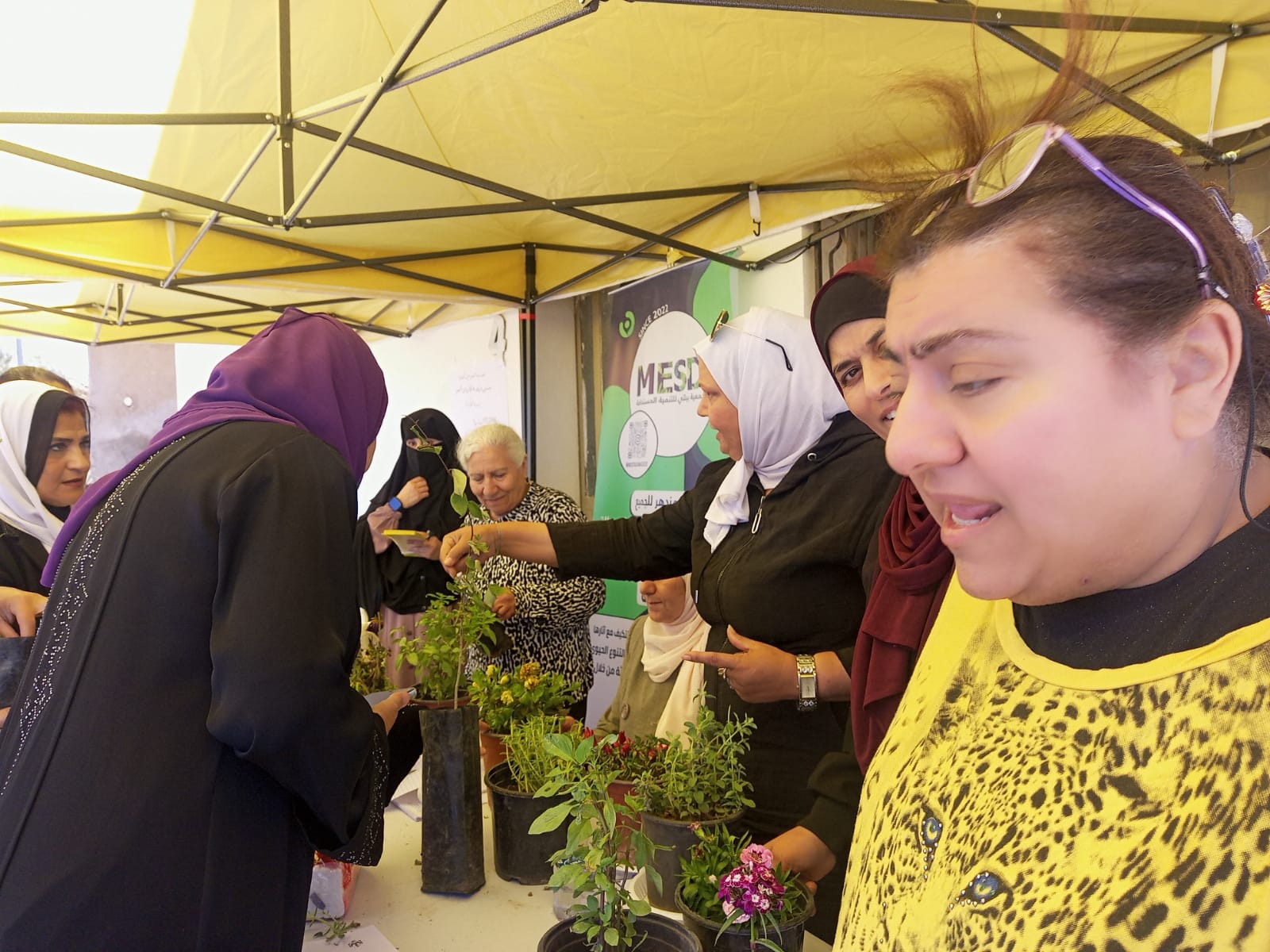 Madar Al-Saa Images 0.005678409875274348