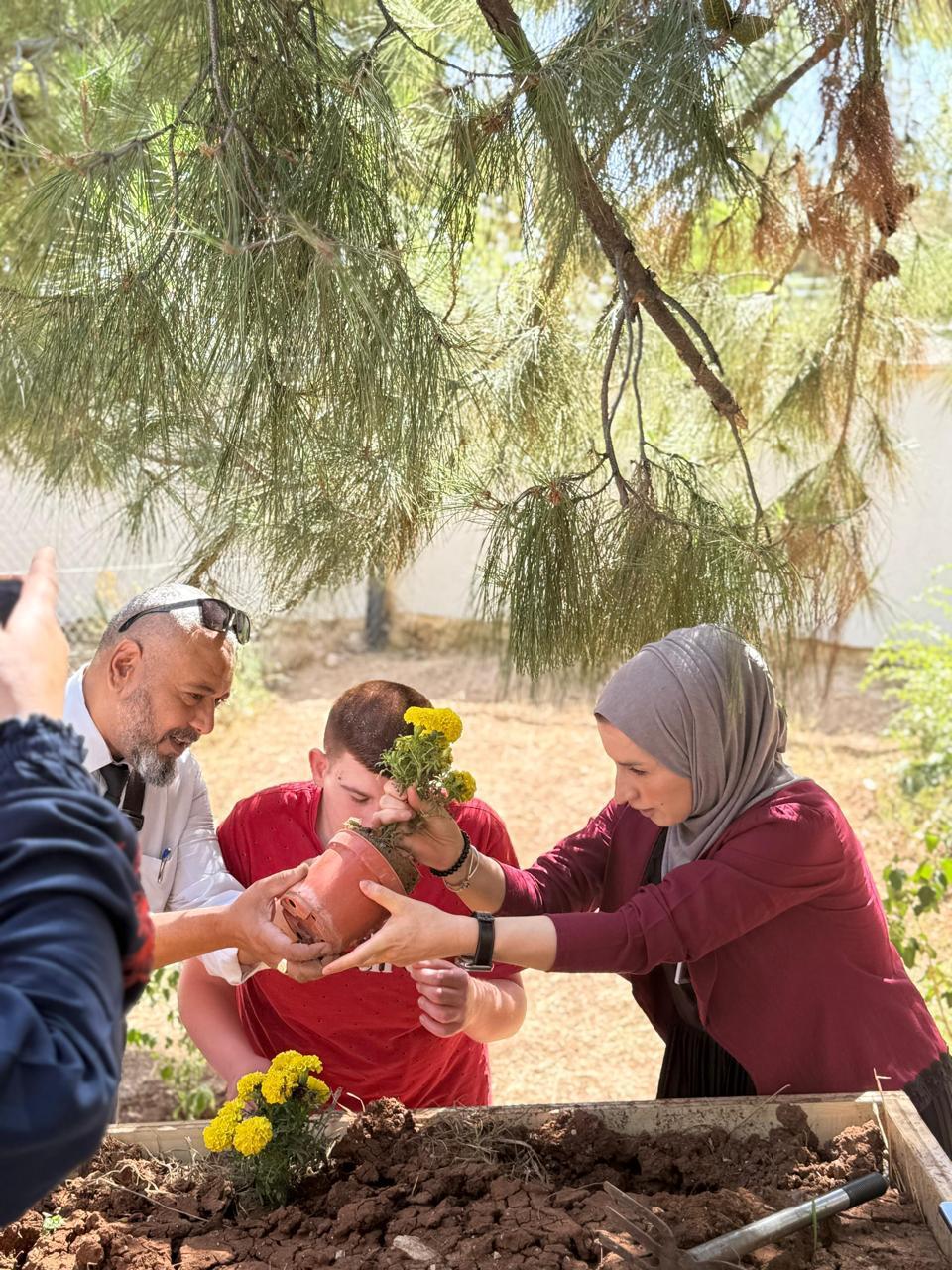 Madar Al-Saa Images 0.017317174819792447