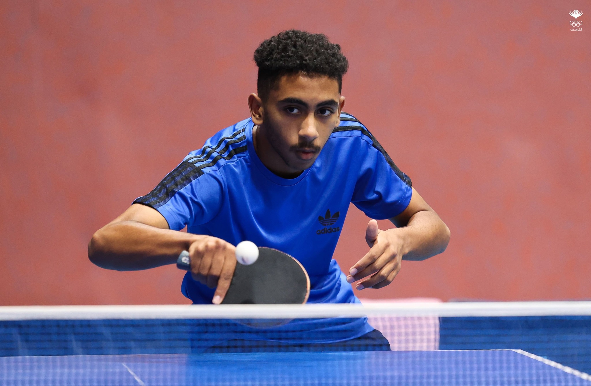 Madar Al-Saa Images 0.9838392908668048