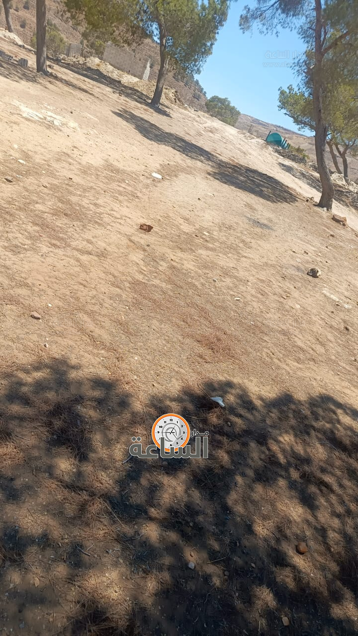 Madar Al-Saa Images 0.5429284023324638