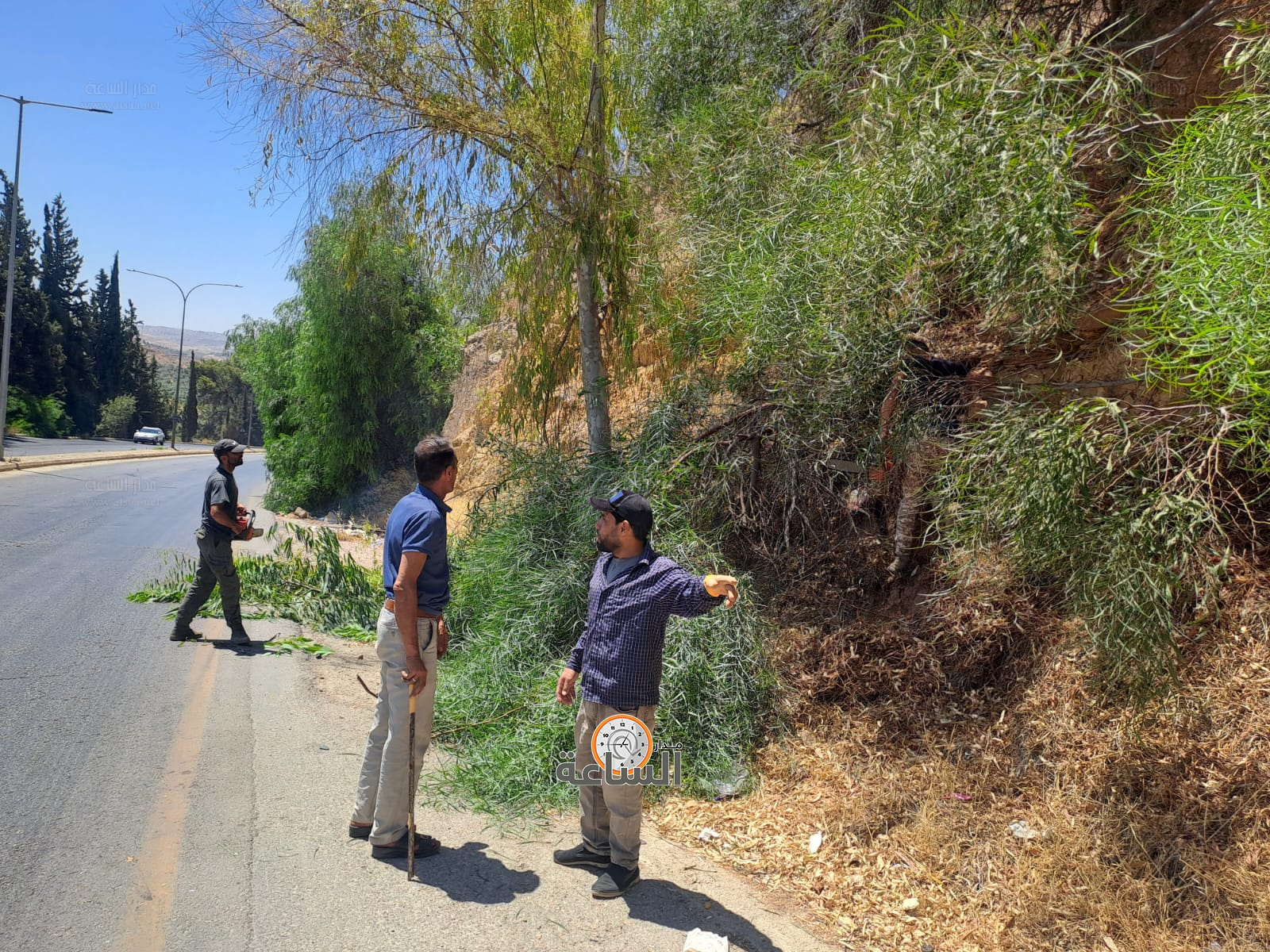 Madar Al-Saa Images 0.5045599422960647