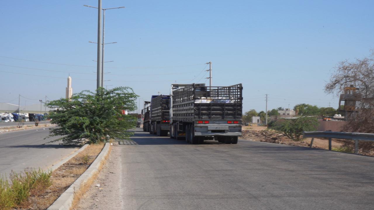 Madar Al-Saa Images 0.7767771734218786