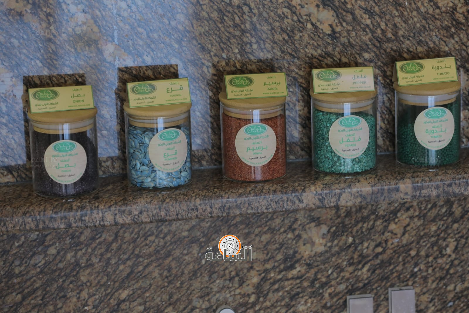 Madar Al-Saa Images 0.11311799802060873