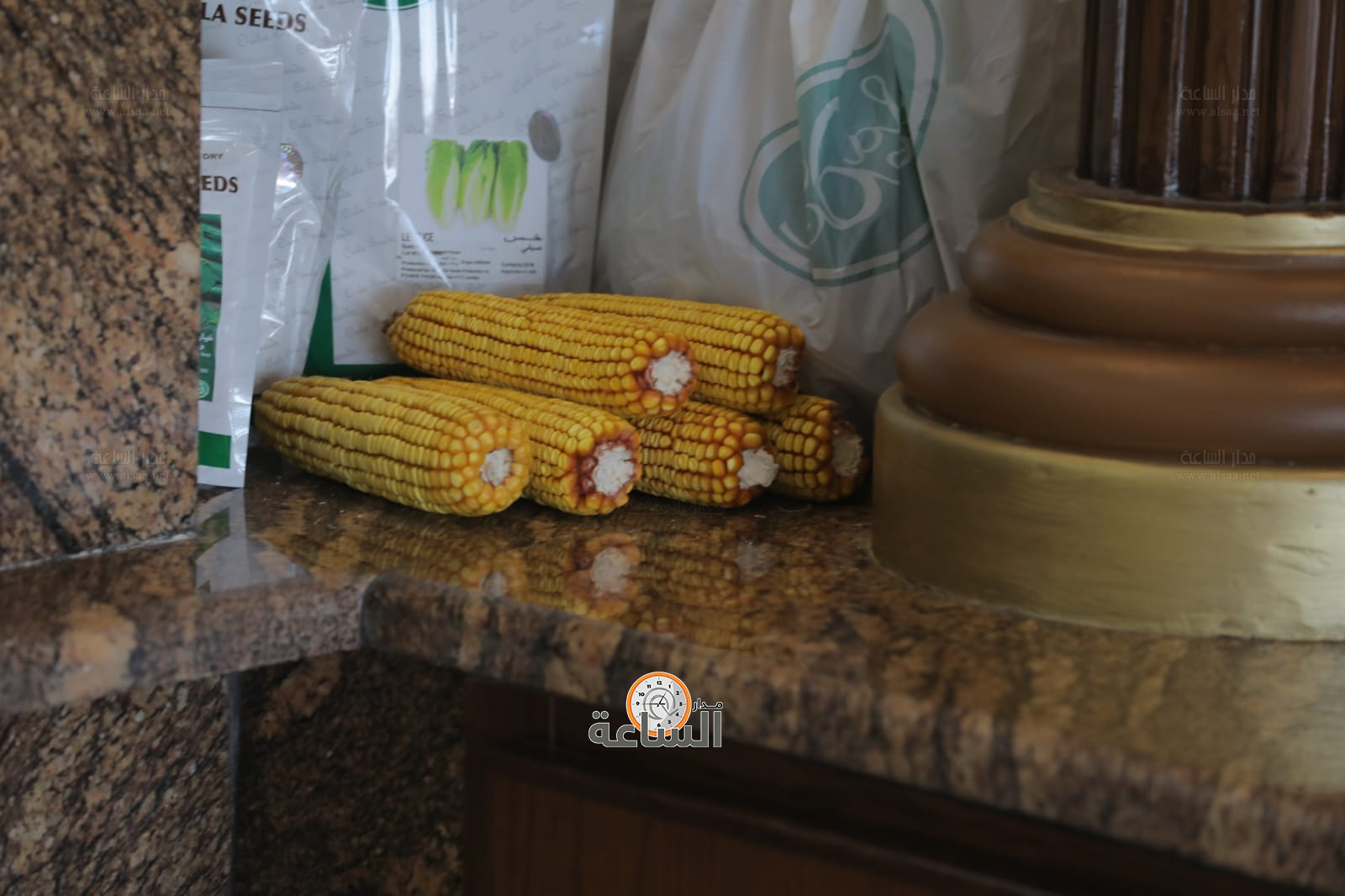 Madar Al-Saa Images 0.6536106142480009