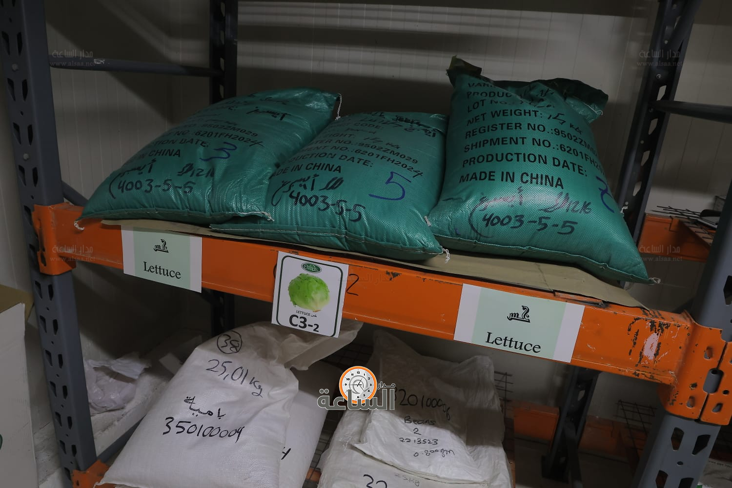 Madar Al-Saa Images 0.5079176312621313