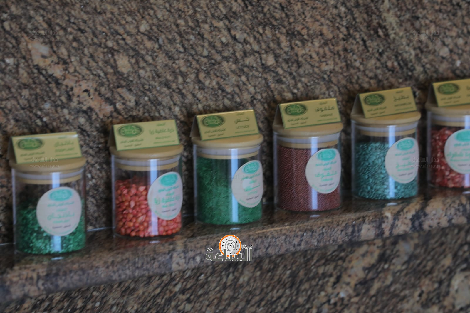 Madar Al-Saa Images 0.287835949117916