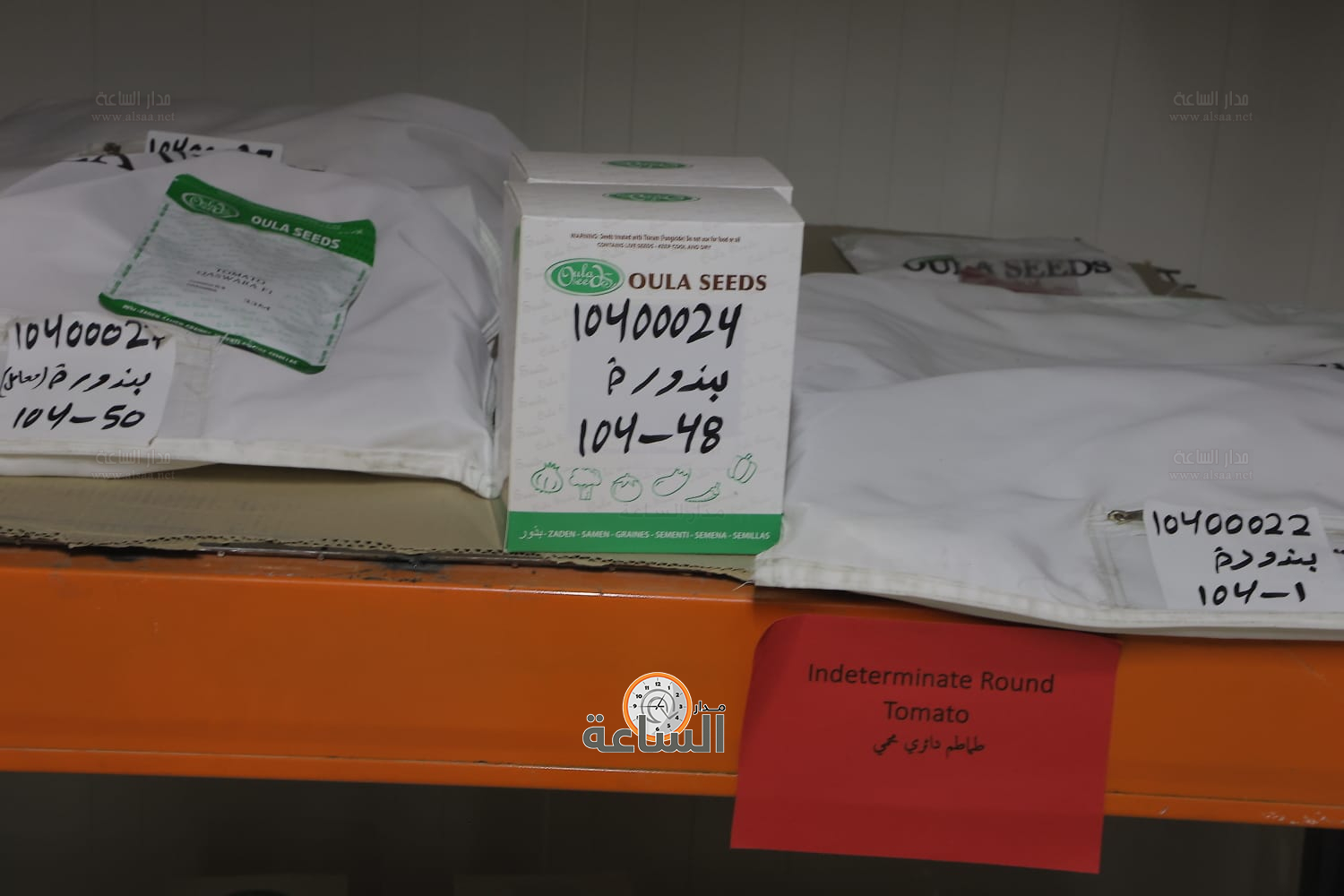 Madar Al-Saa Images 0.42570558073255715