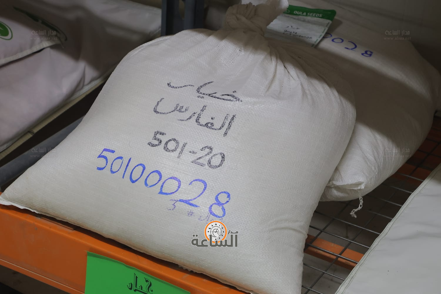 Madar Al-Saa Images 0.7480038218260014