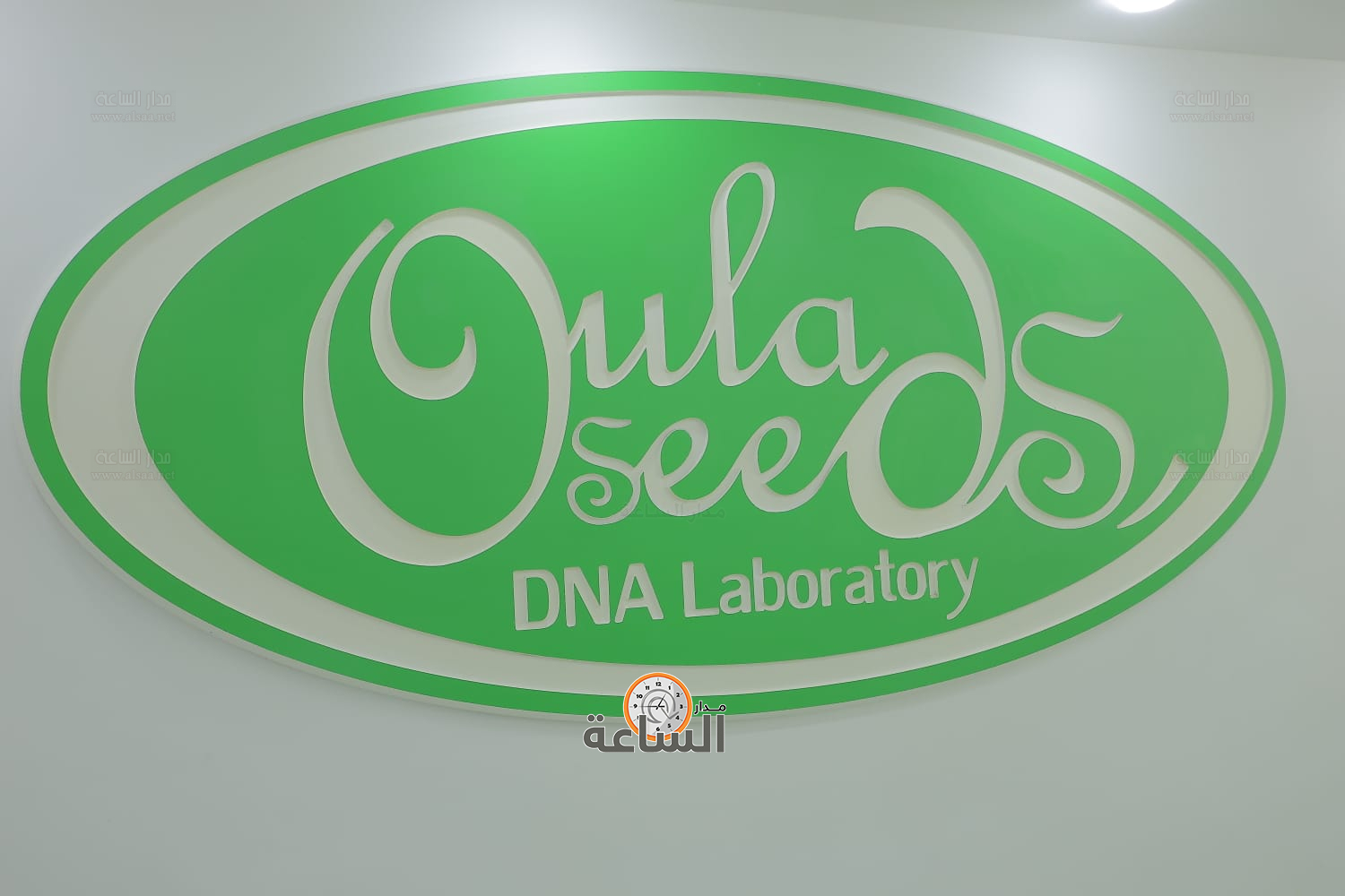 Madar Al-Saa Images 0.9194020885667404