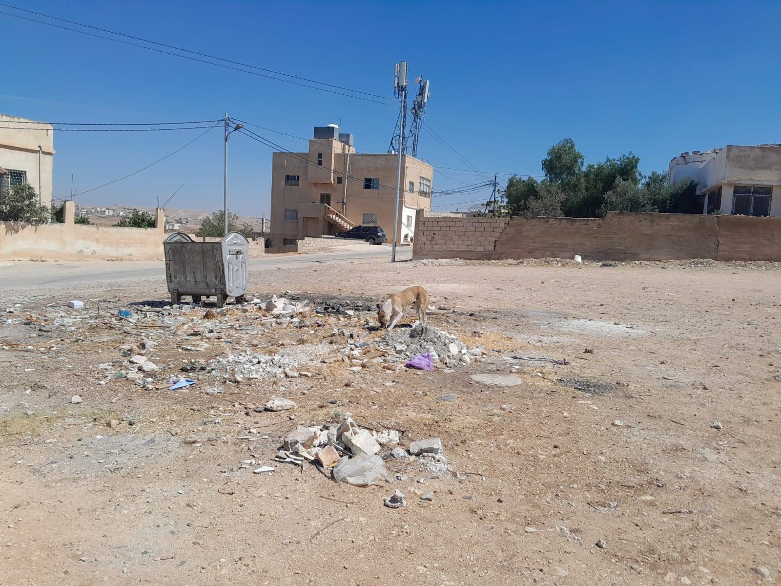 Madar Al-Saa Images 0.31378914389321966