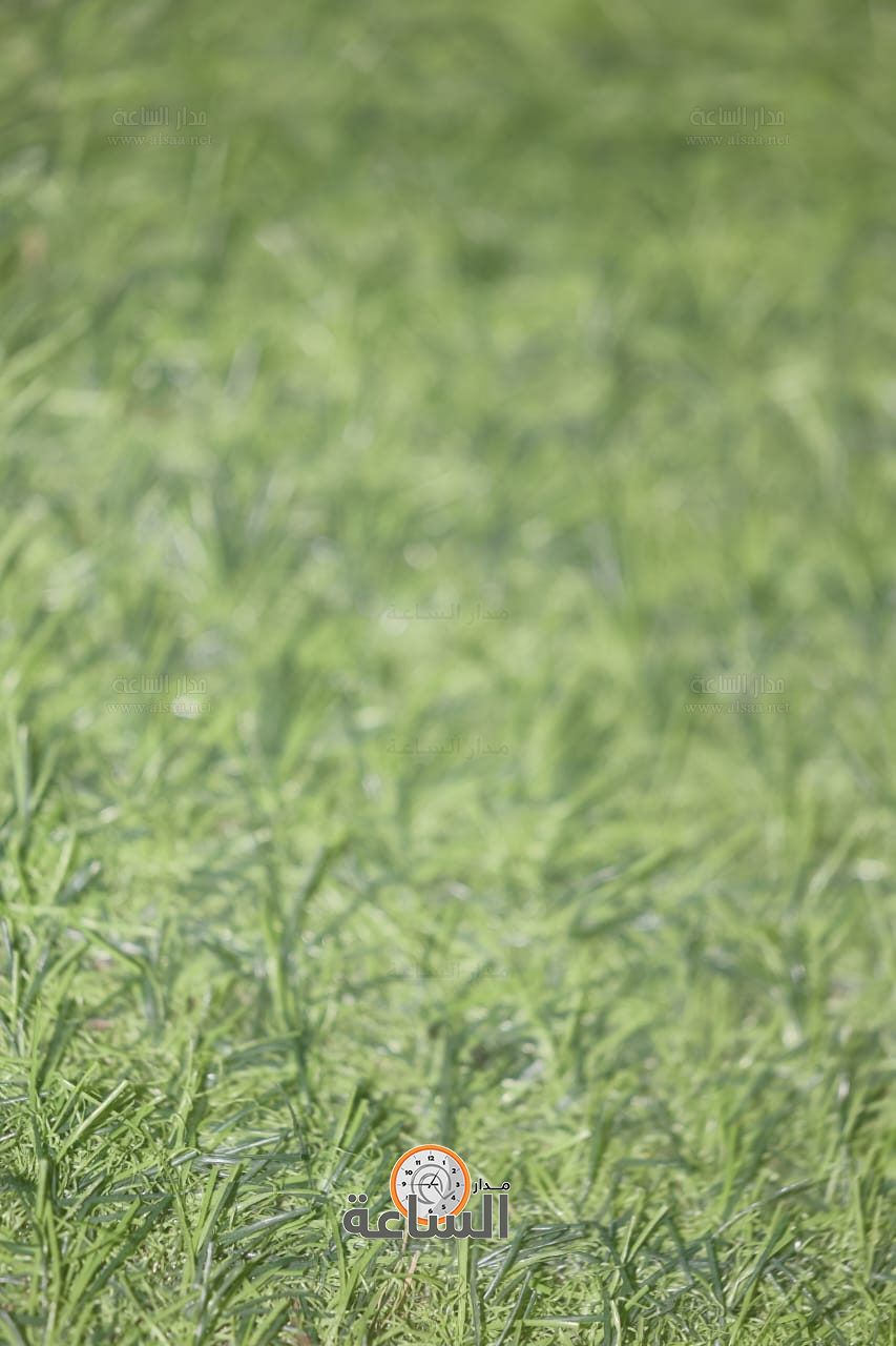 Madar Al-Saa Images 0.17288943212707286