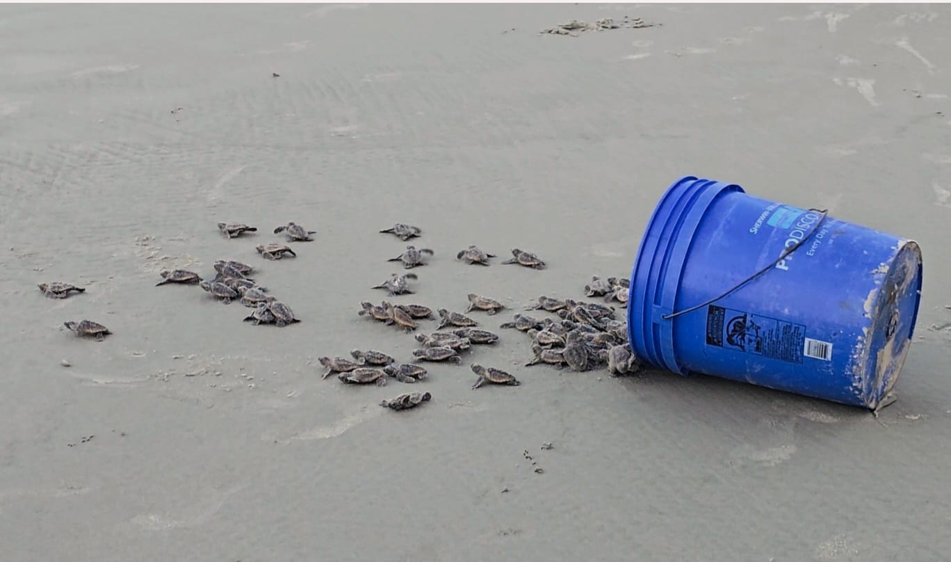 Madar Al-Saa Images 0.6115038991958377