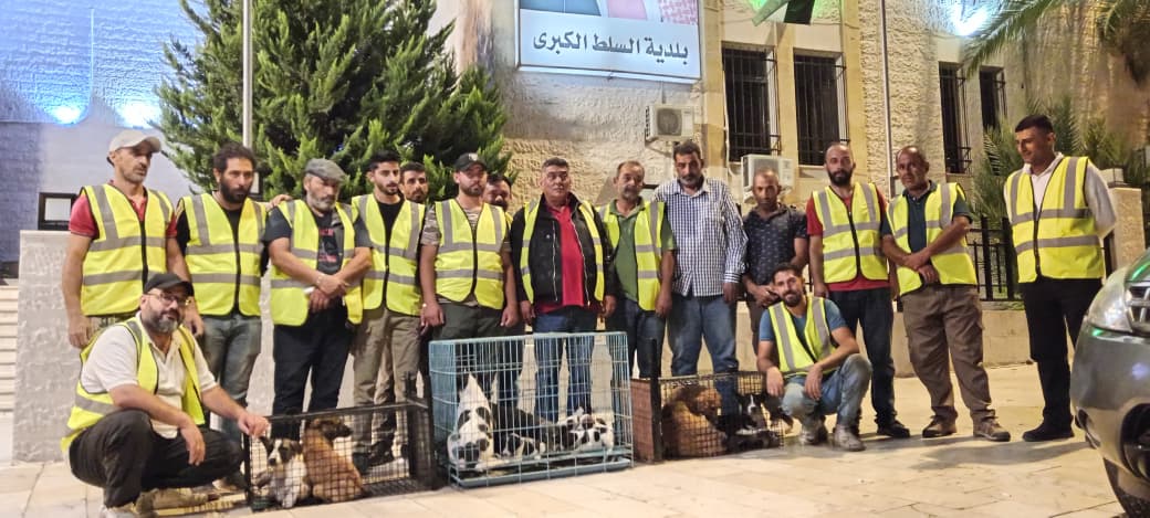 Madar Al-Saa Images 0.939994957371756