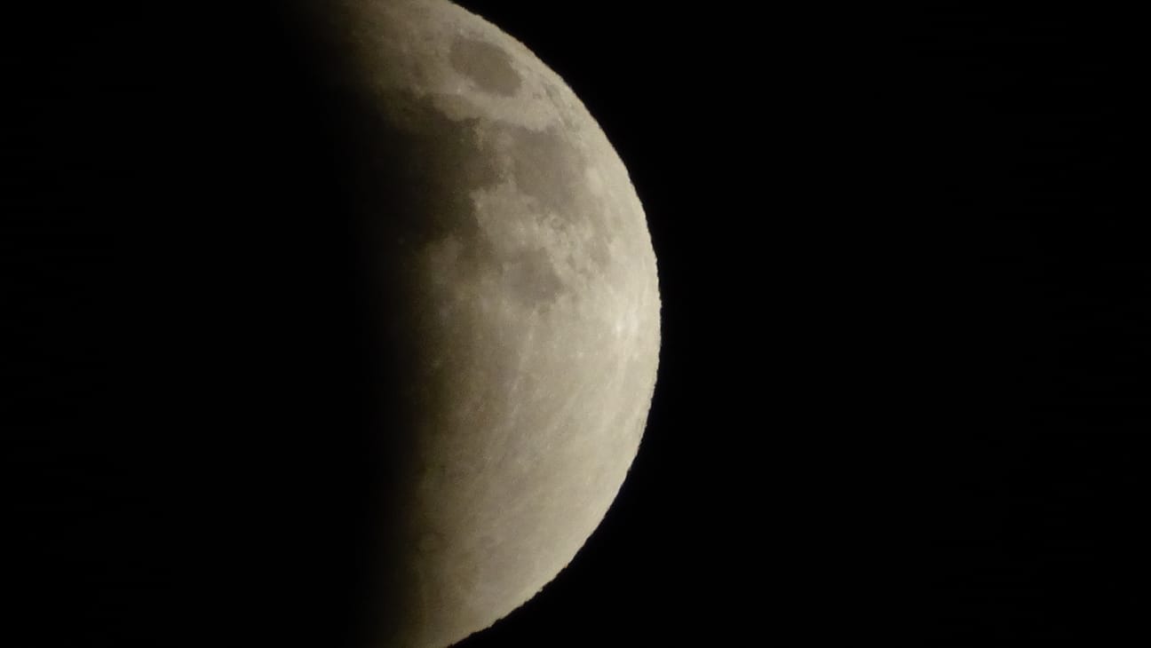 تصوير: نزال أبو كف