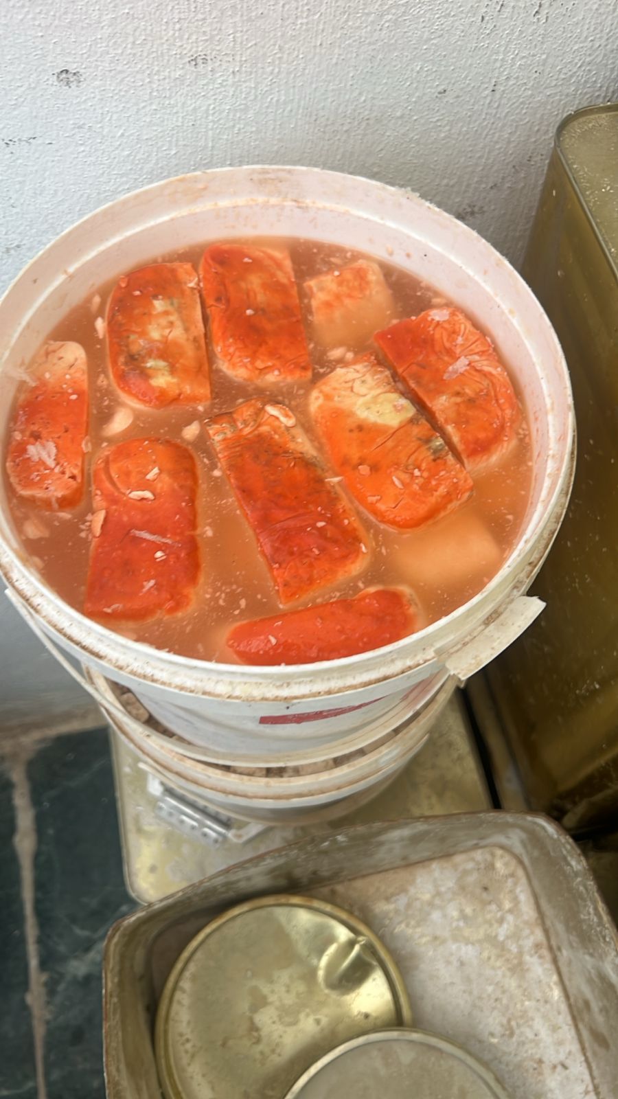 Madar Al-Saa Images 0.0554329469281023