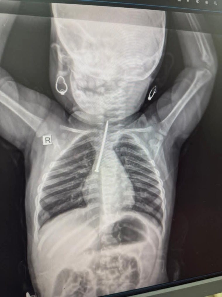 Madar Al-Saa Images 0.47442061330077023