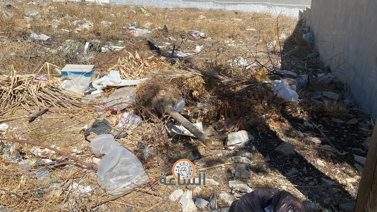 Madar Al-Saa Images 0.9741809043705475