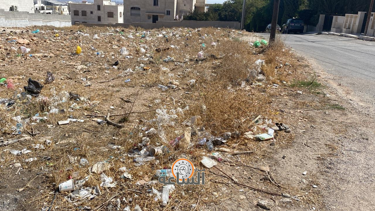 Madar Al-Saa Images 0.544987568281499