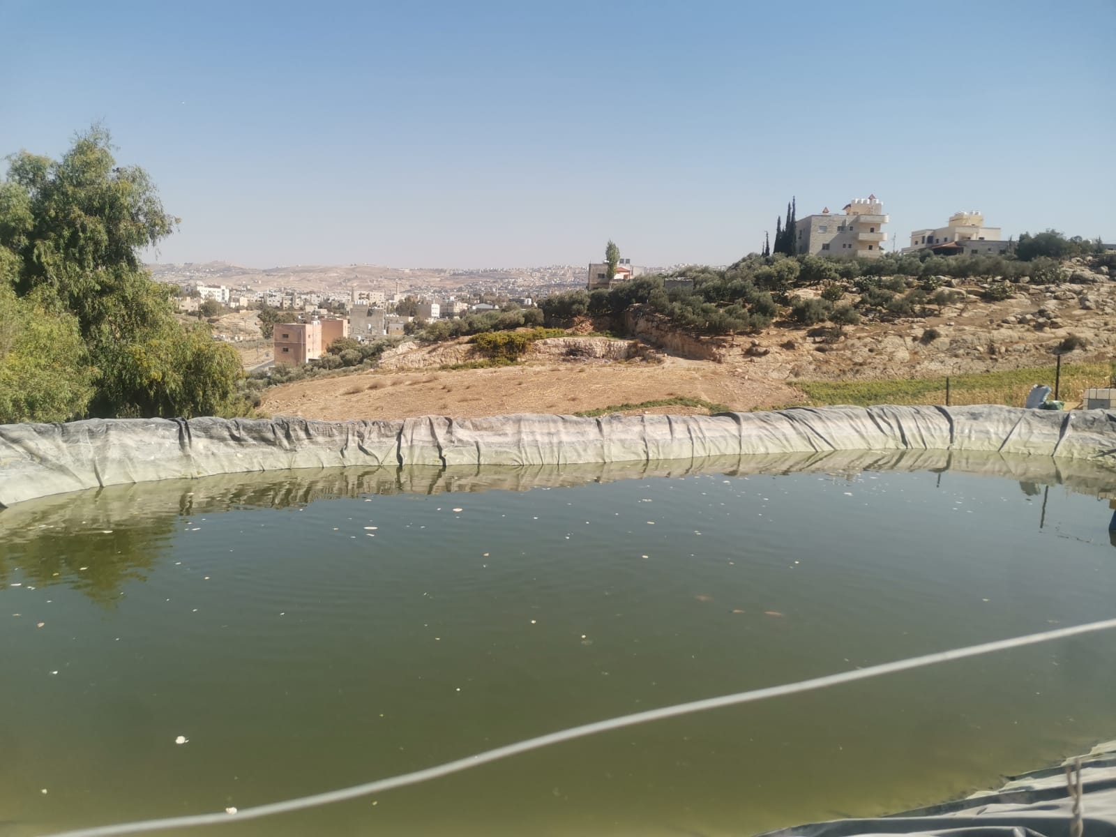 Madar Al-Saa Images 0.23513339751355655