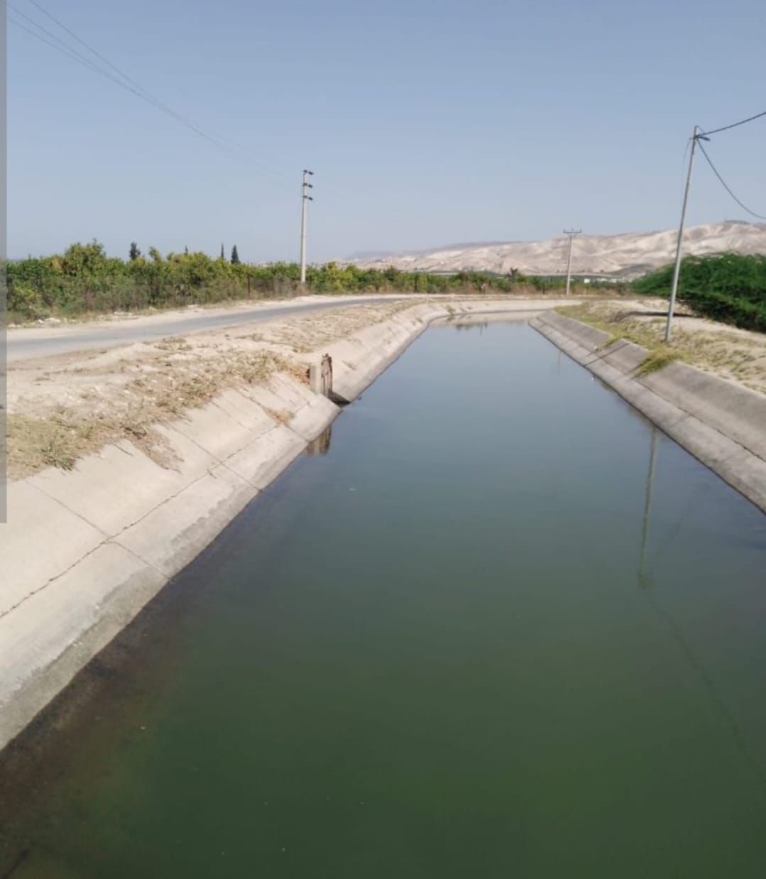 Madar Al-Saa Images 0.8937695917477372