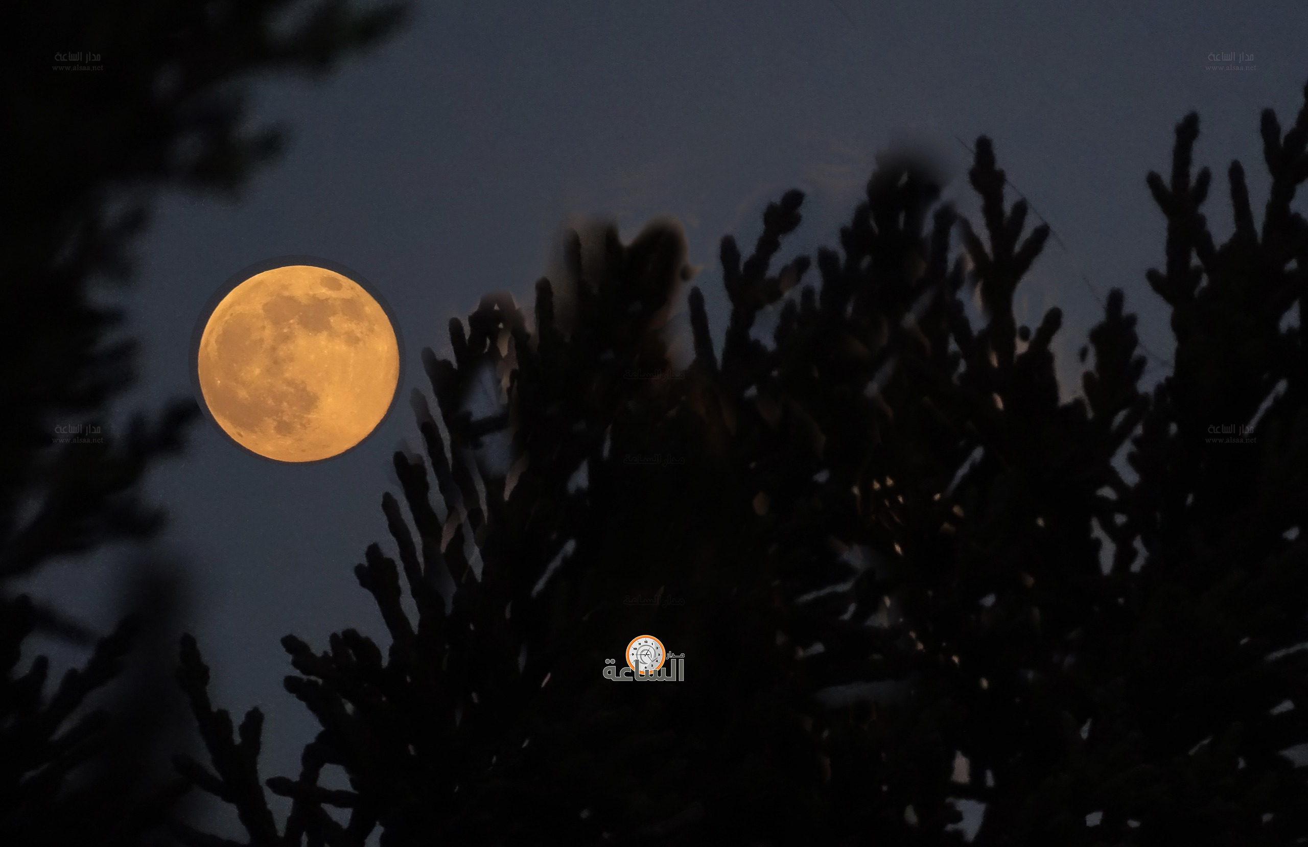 Madar Al-Saa Images 0.0885579658012049