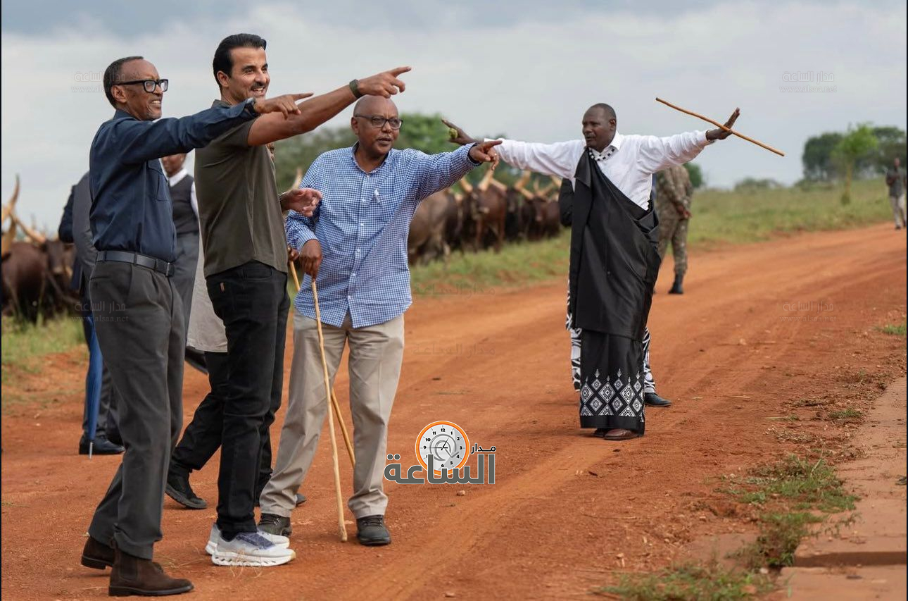 Madar Al-Saa Images 0.9224256802733162