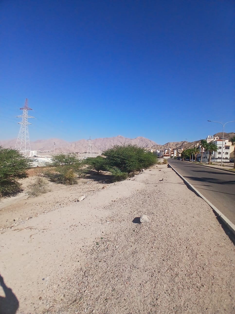 Madar Al-Saa Images 0.9487185477642658