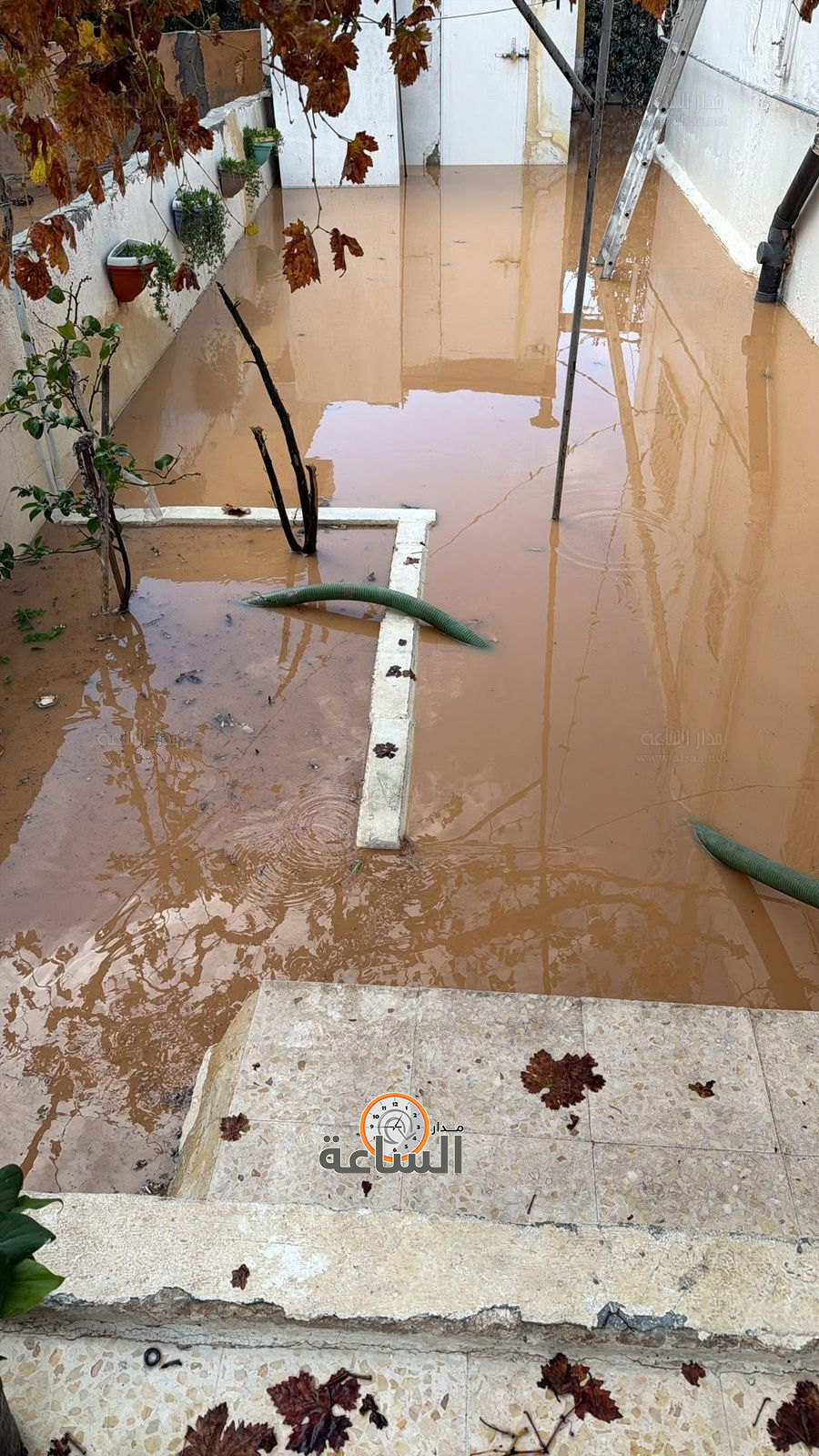 Madar Al-Saa Images 0.28470127614729157