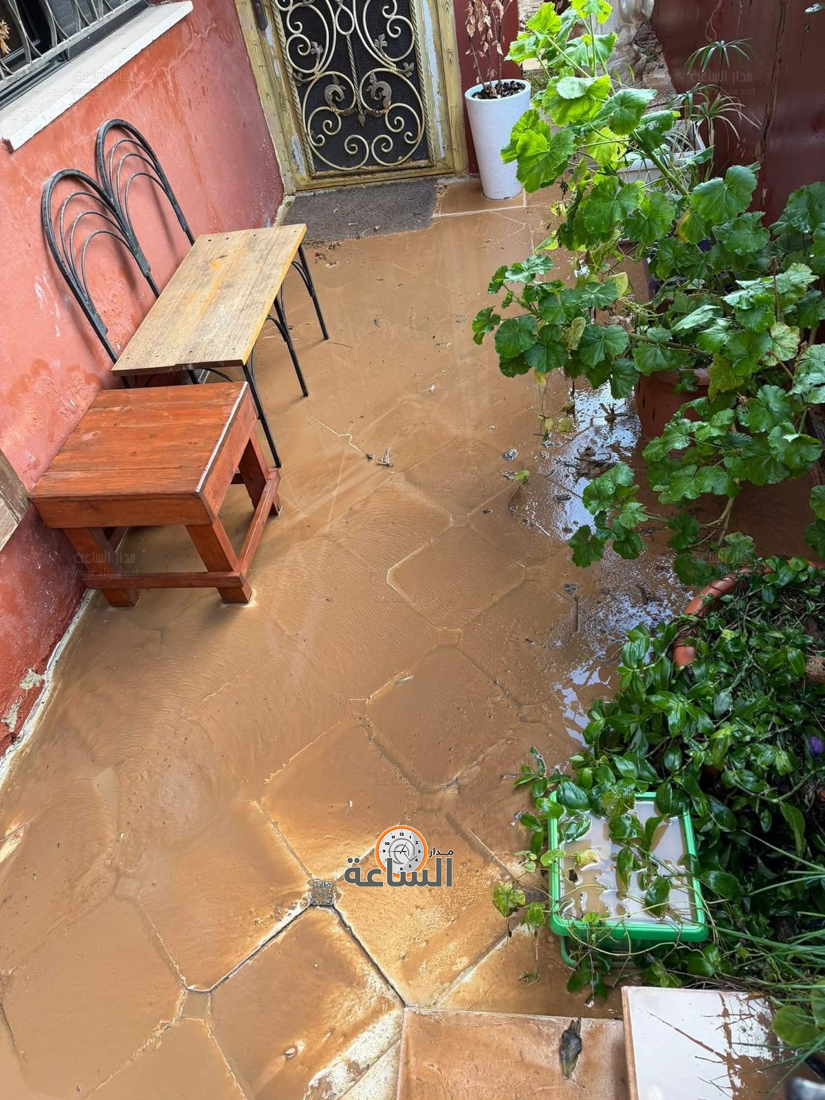 Madar Al-Saa Images 0.5236464879346208